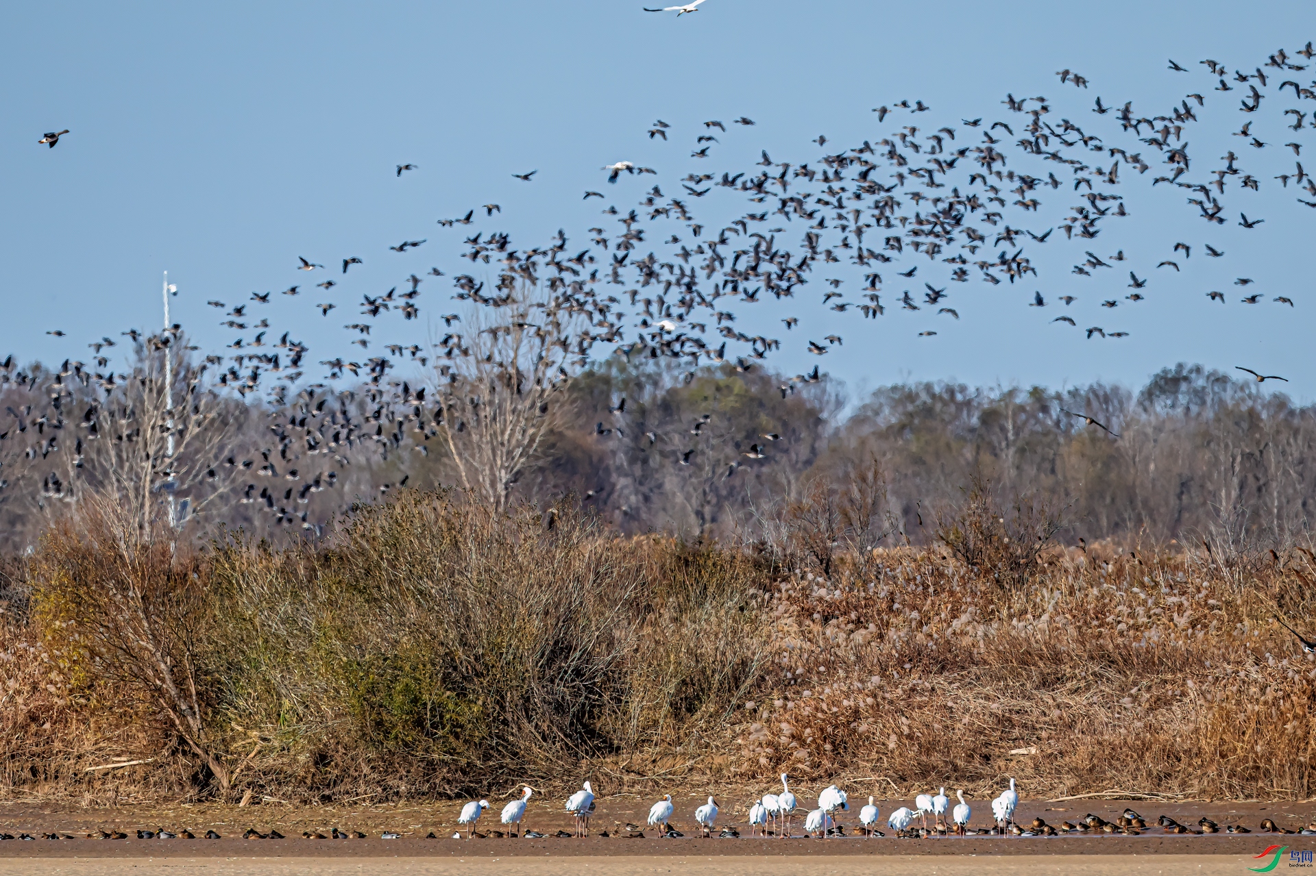 DSC_3340-11.jpg