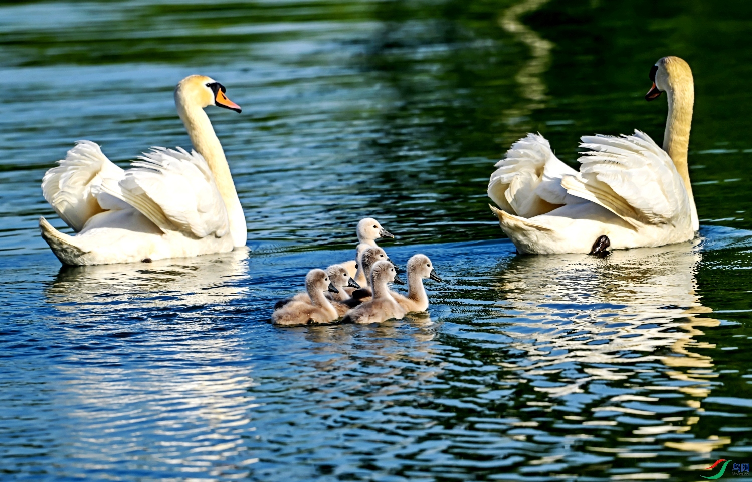 DSC_7327---_conew1.jpg