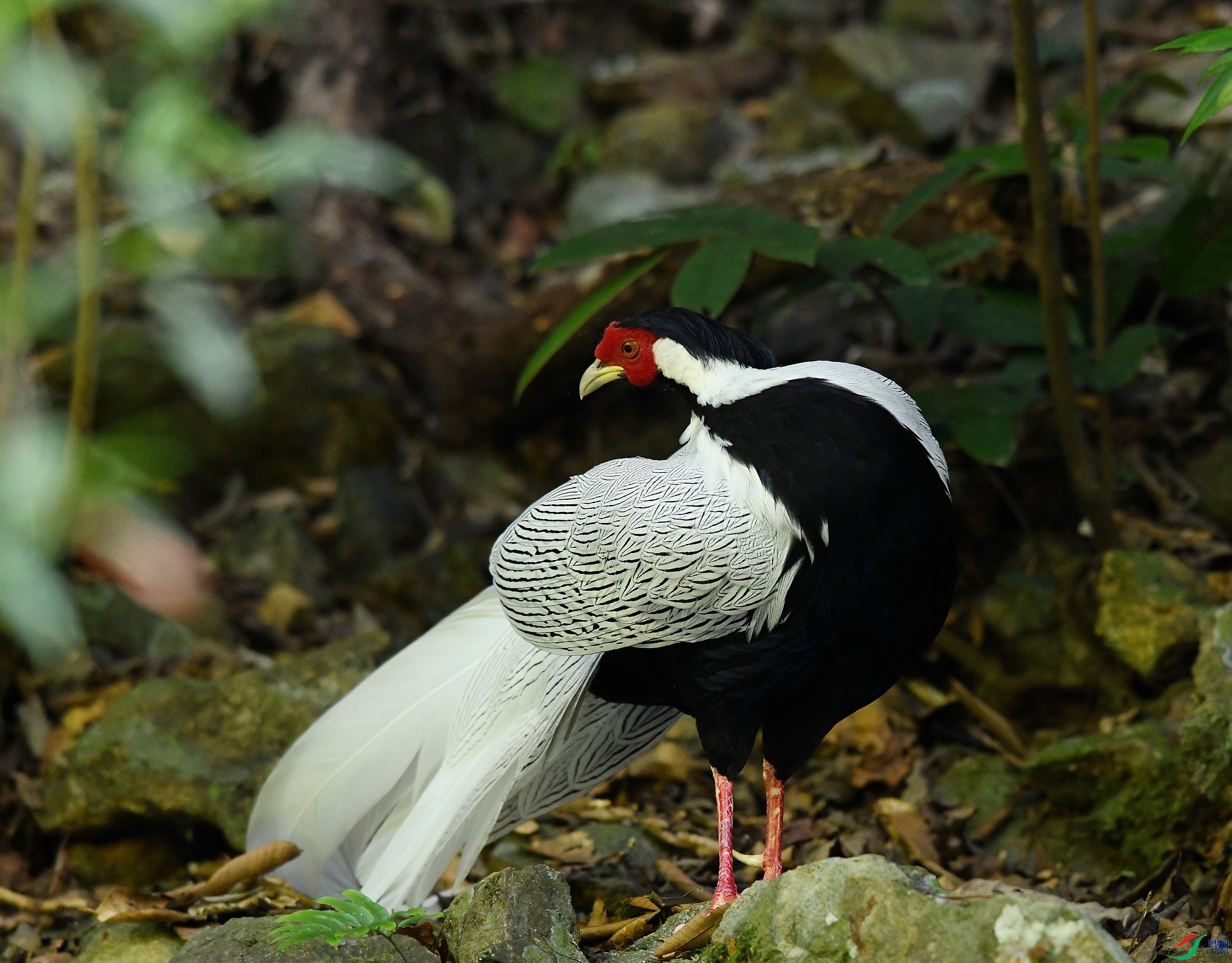 DSC_3651.jpg