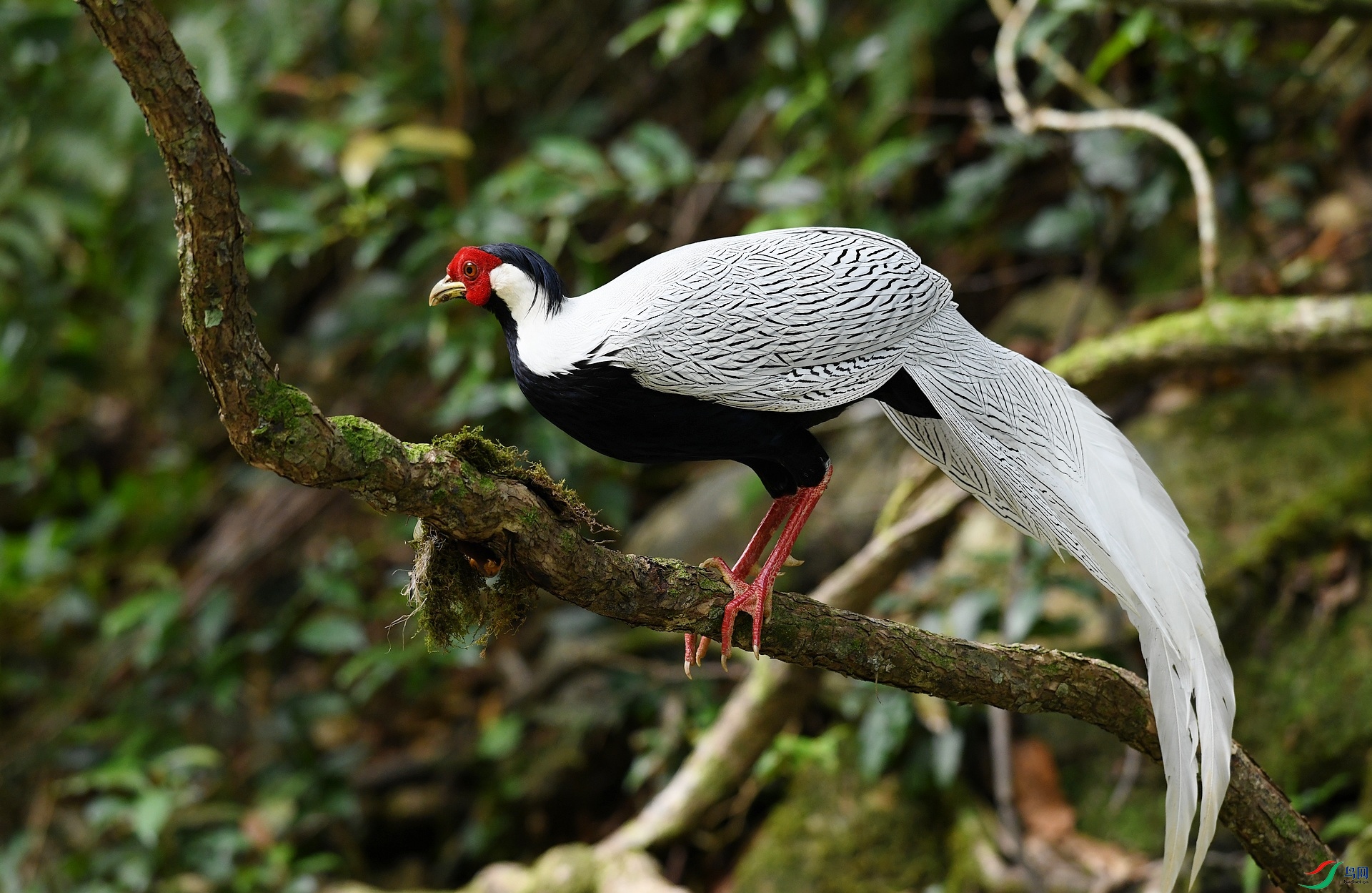DSC_2786.jpg