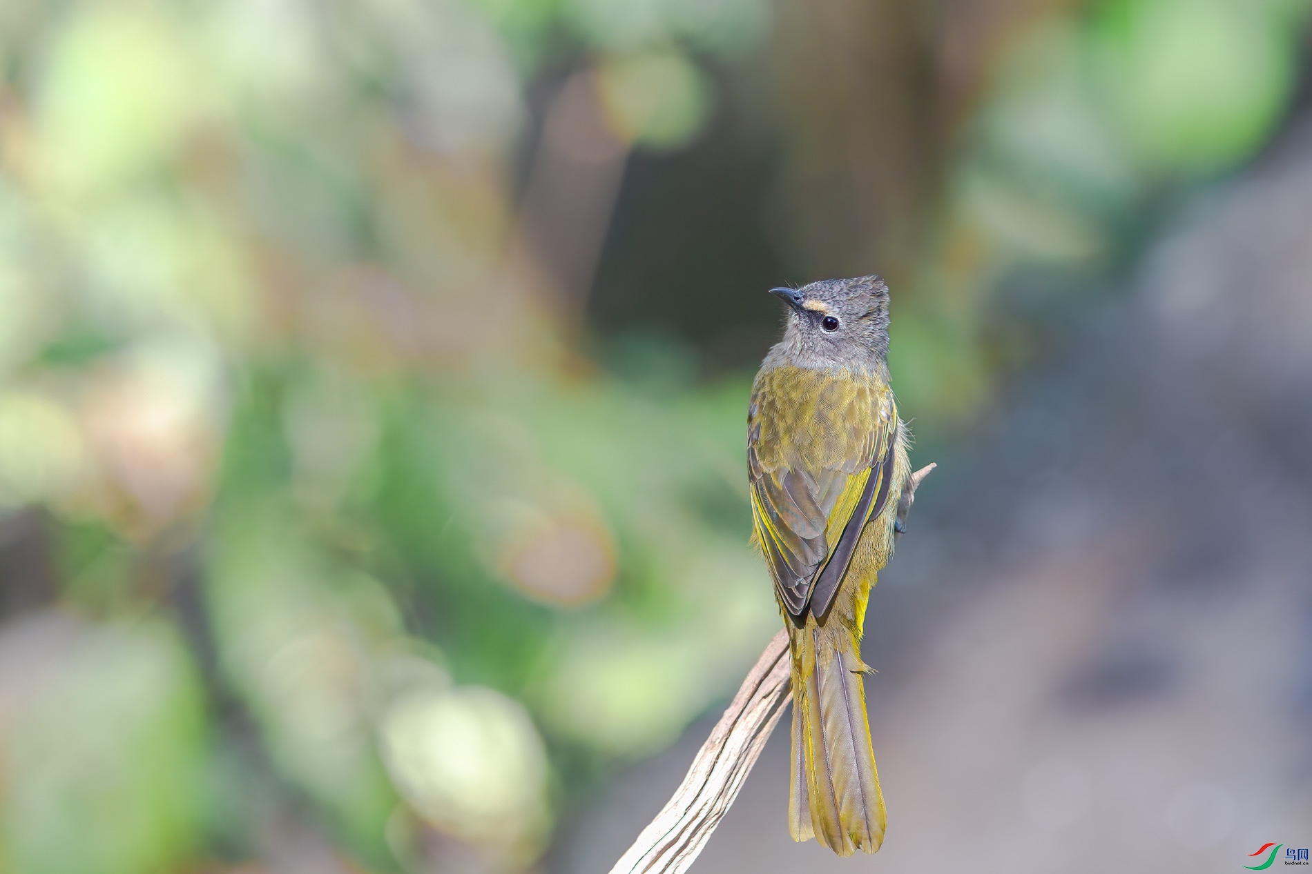 a_05104-1.jpg