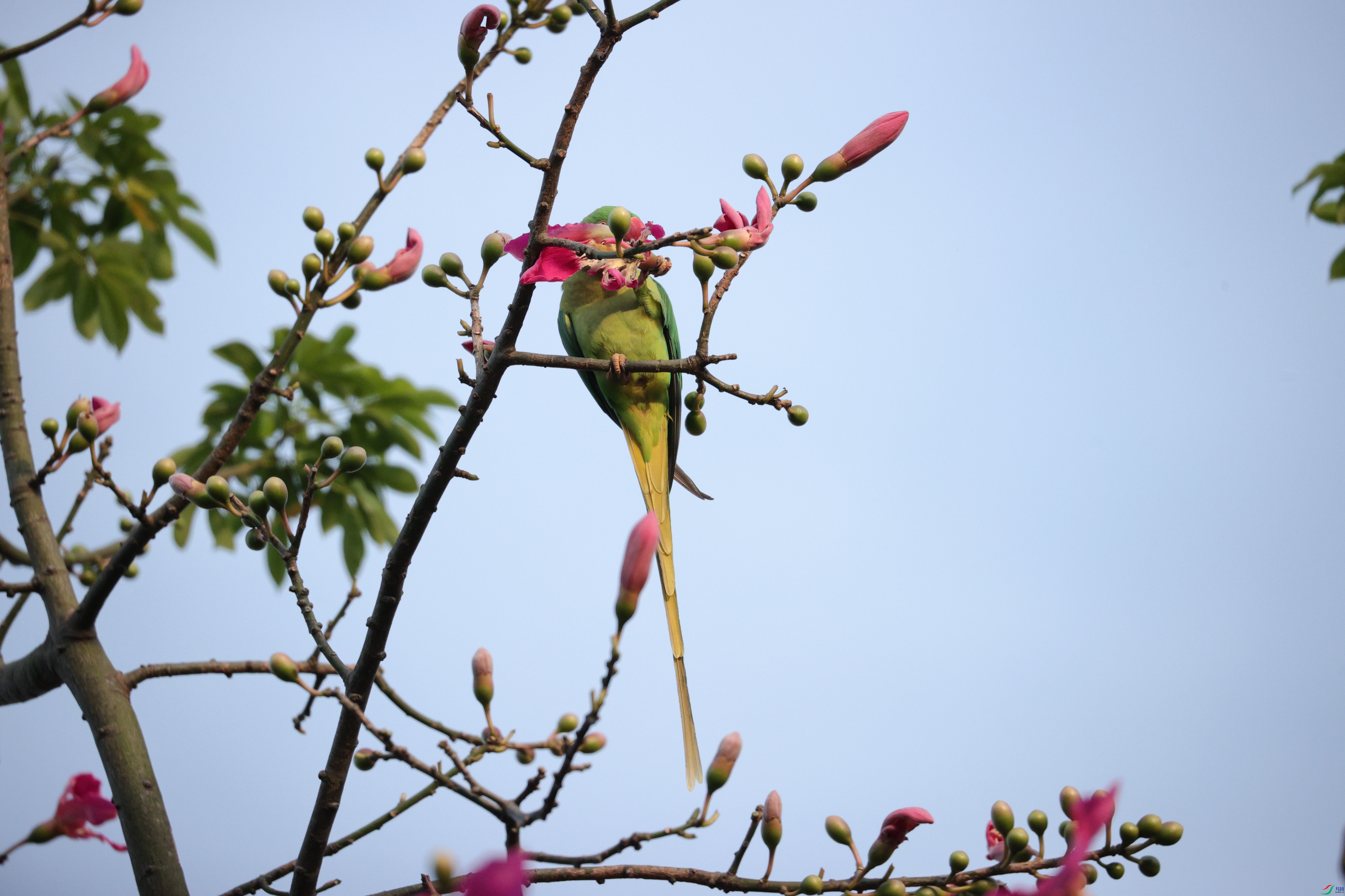 5024��ש����