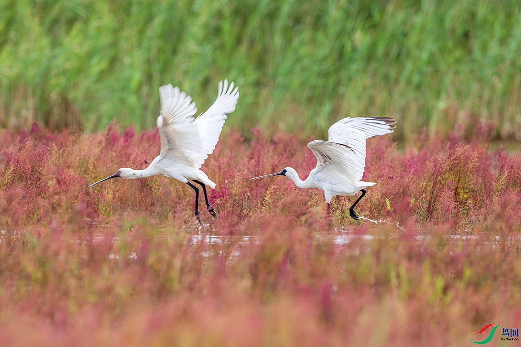 lndlzhR5250823    (5111).jpg