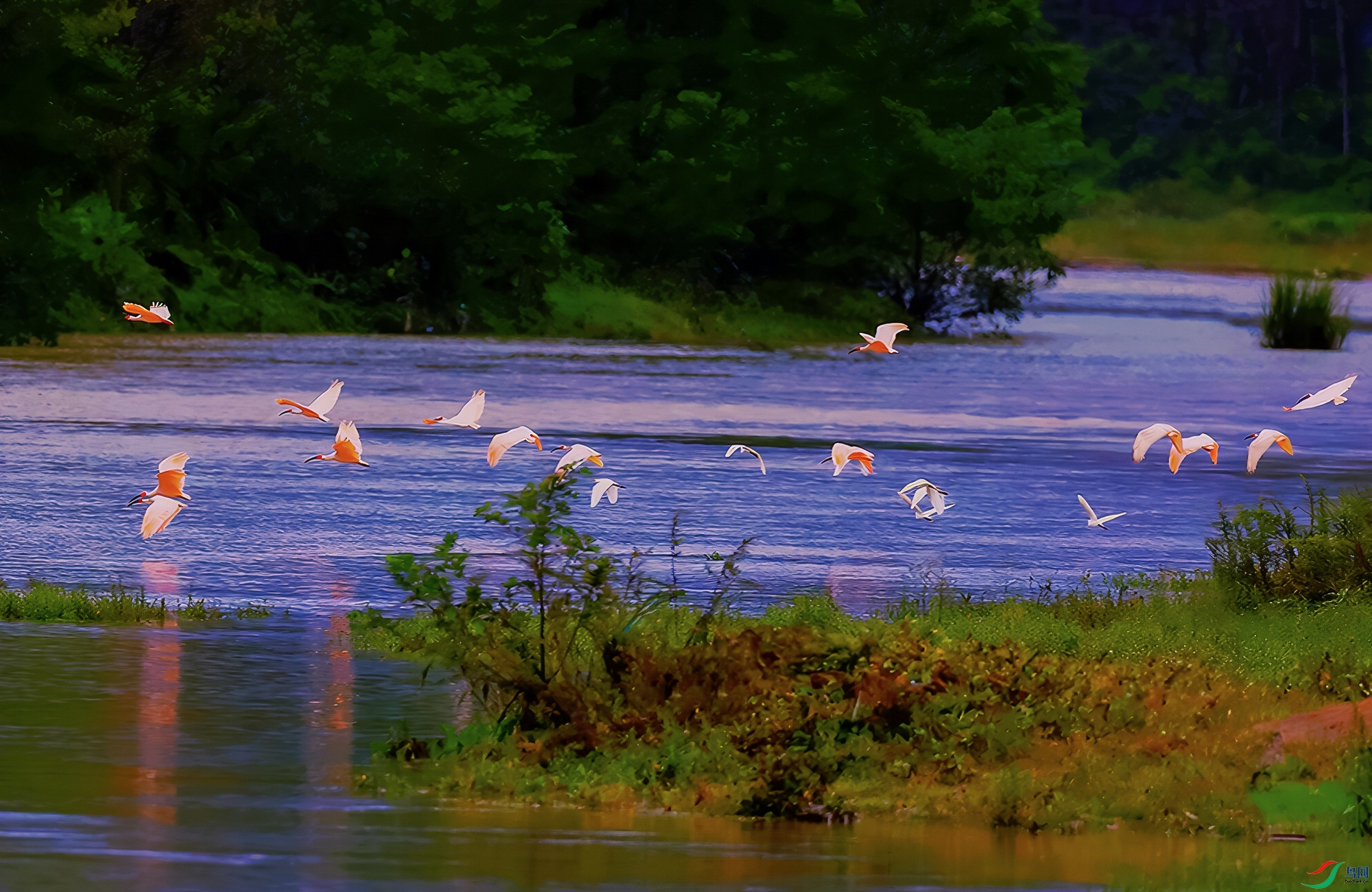 IMGL1680-topaz-upscale-2.5x ����.jpg