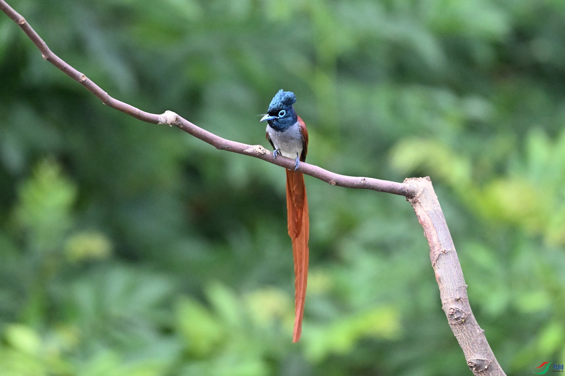DSC_5573.JPG