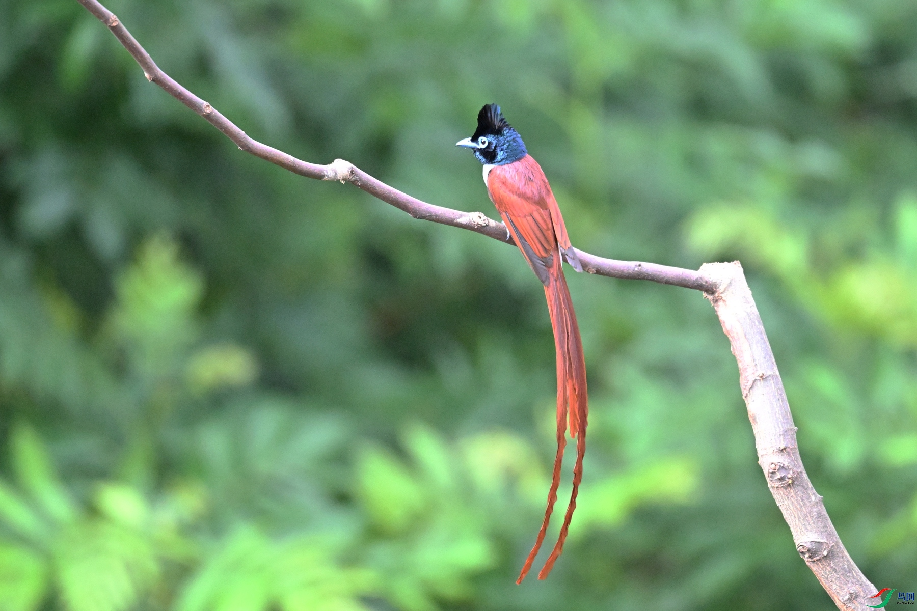 DSC_5632.JPG