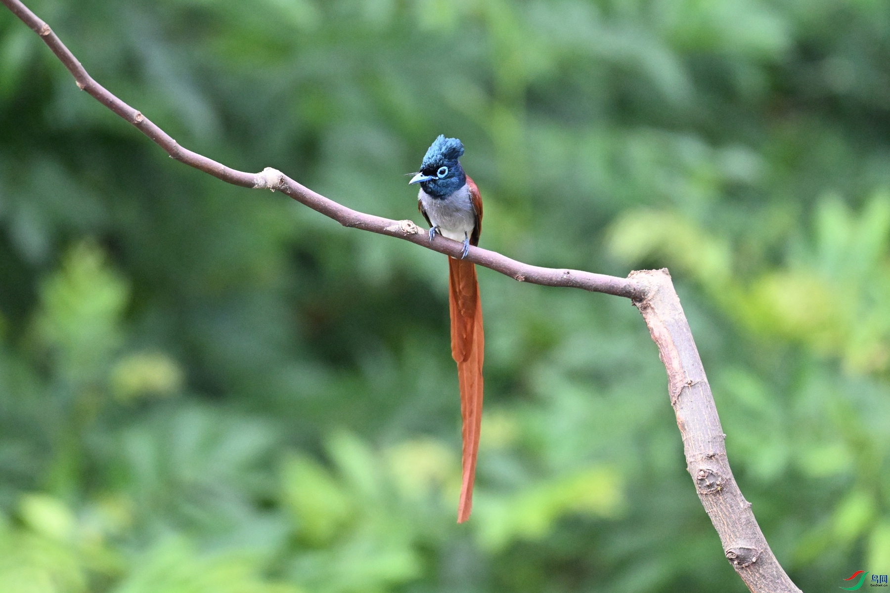 DSC_5574.JPG