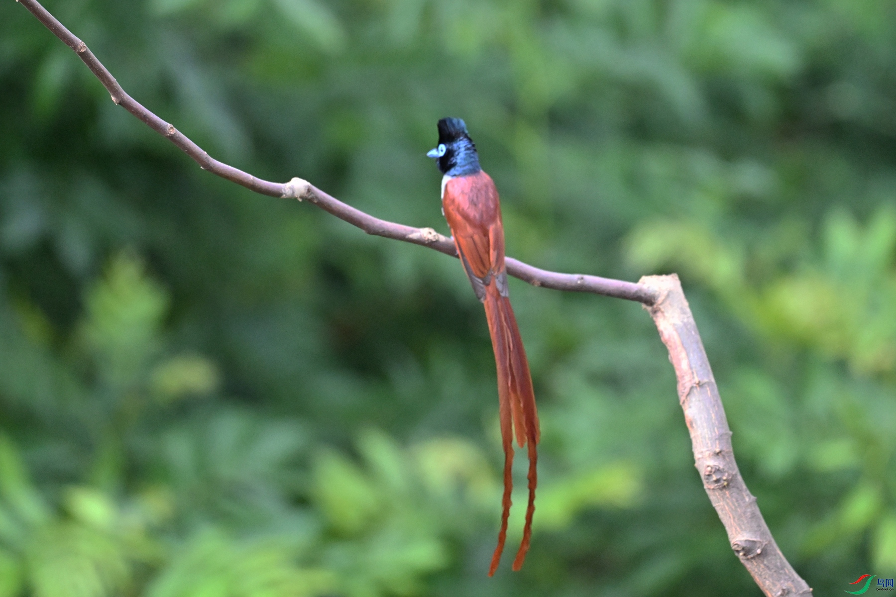 DSC_5634.JPG