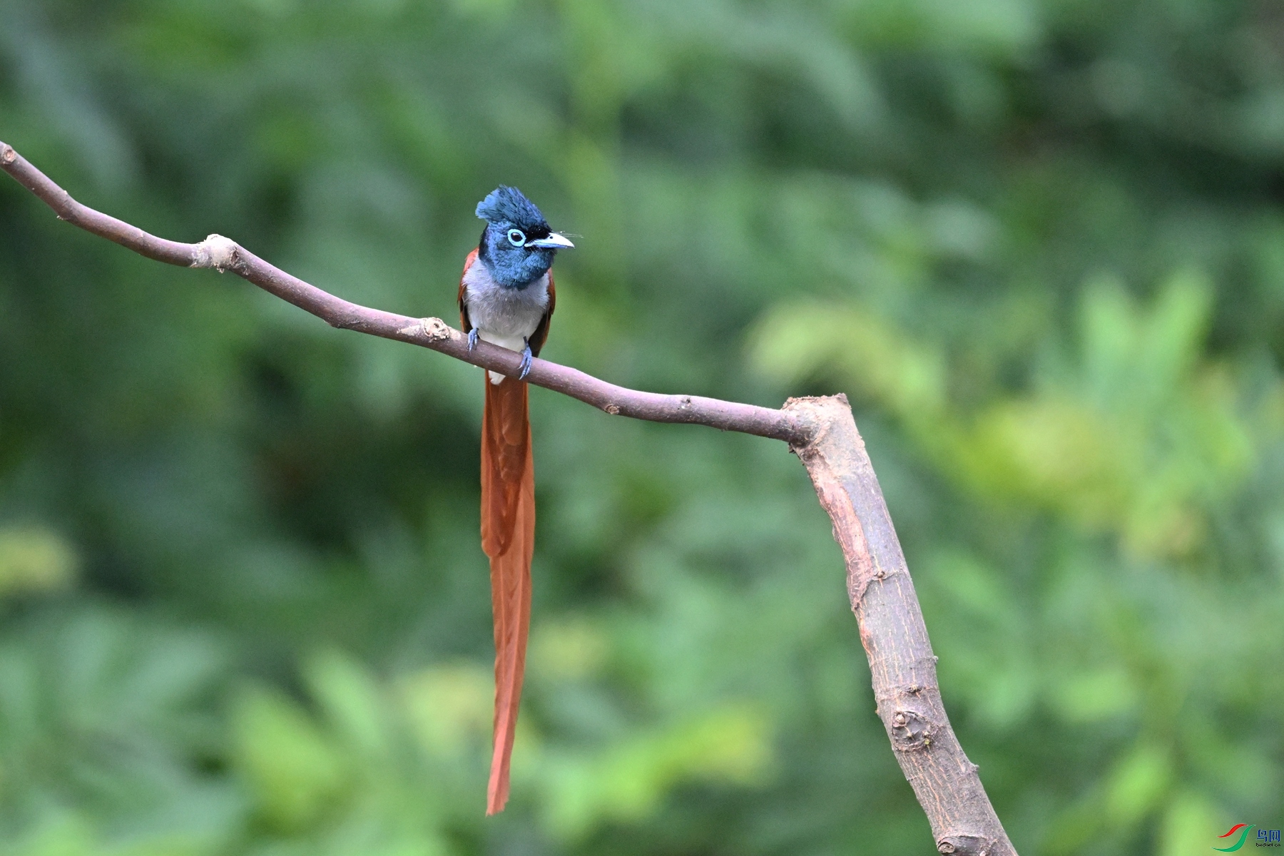 DSC_5577.JPG