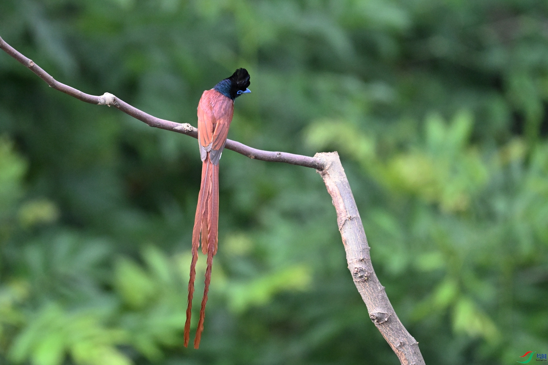 DSC_5619.JPG