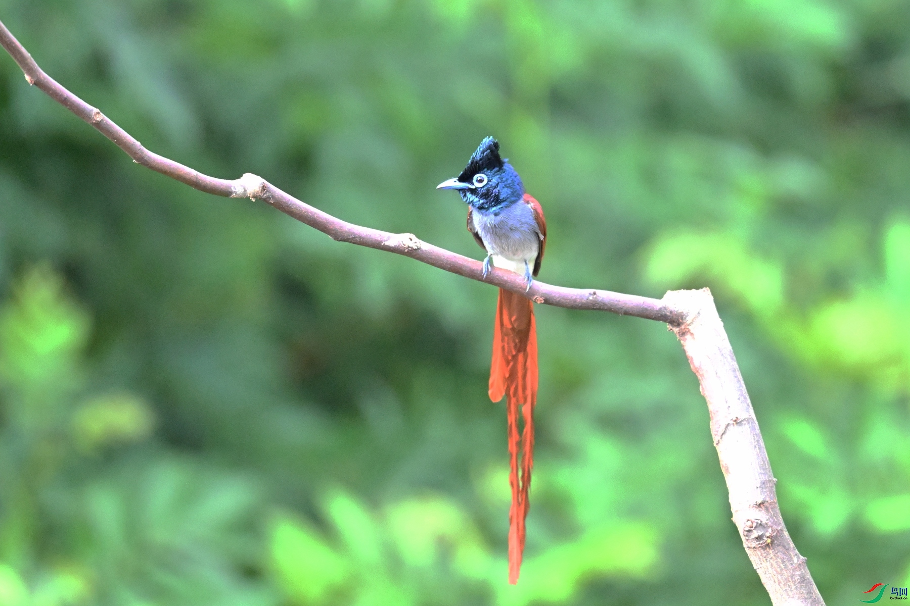 DSC_5653.JPG