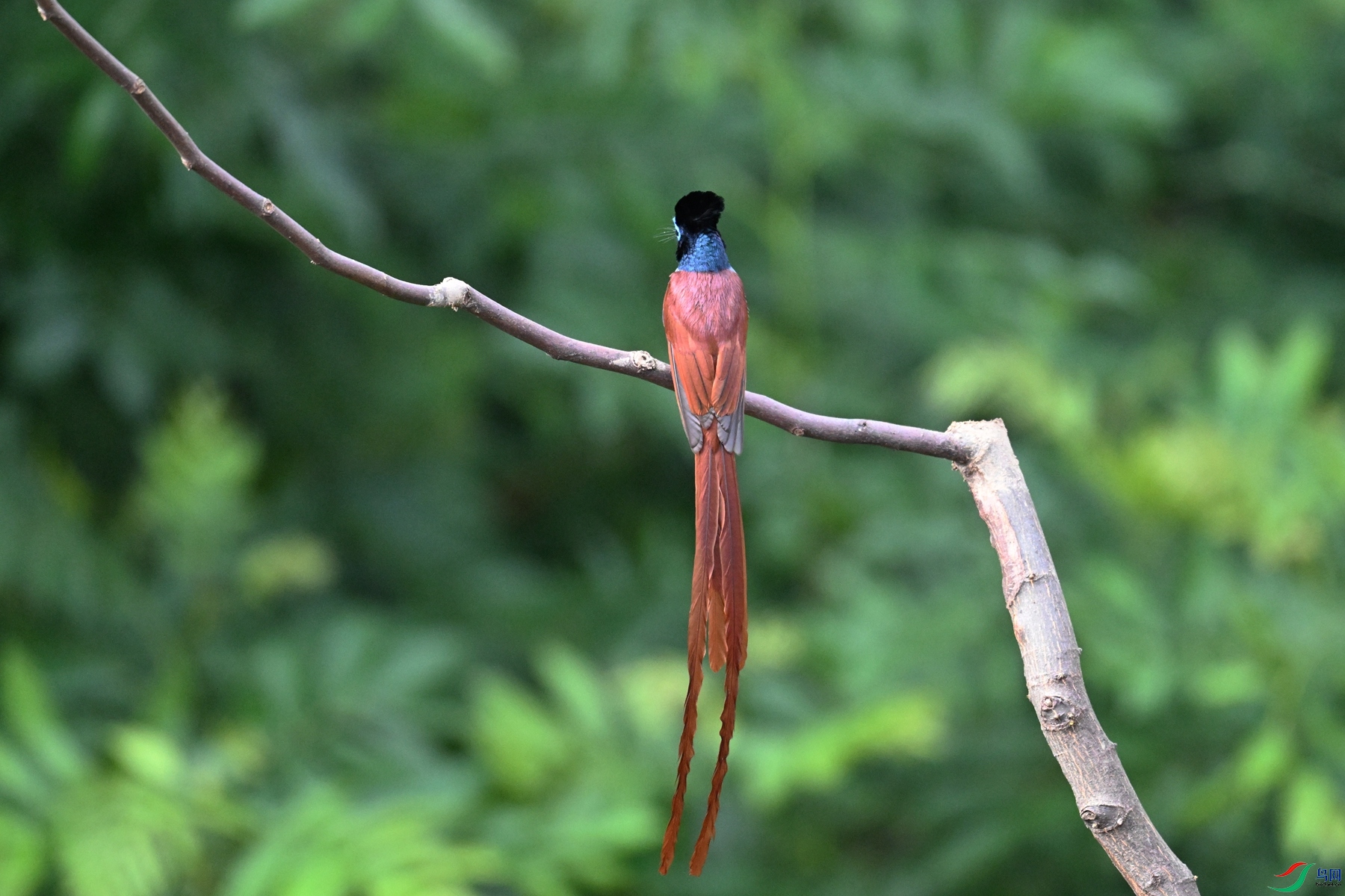 DSC_5622.JPG