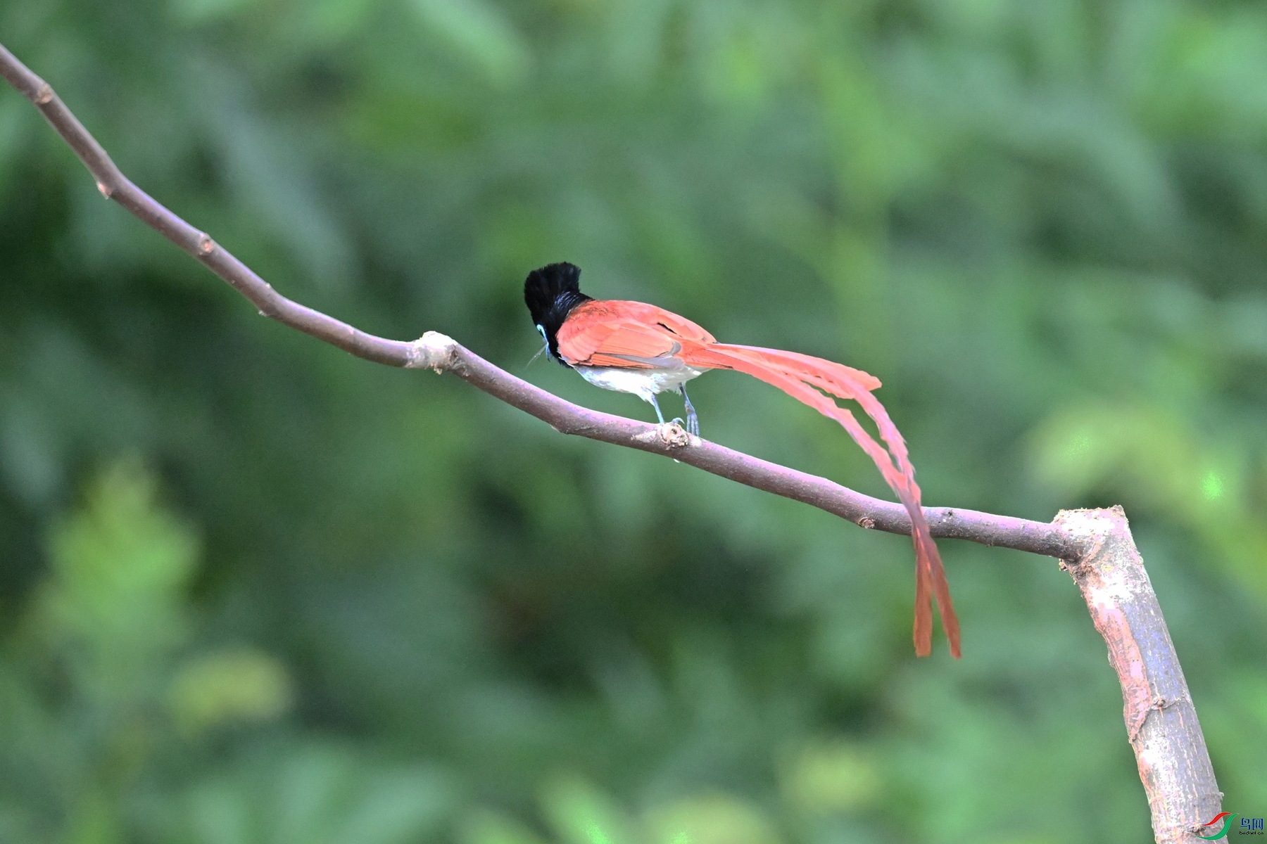 DSC_5651.JPG