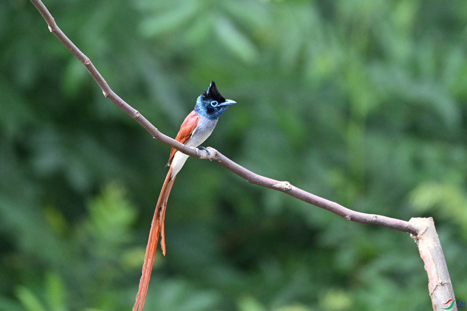 DSC_5676.JPG
