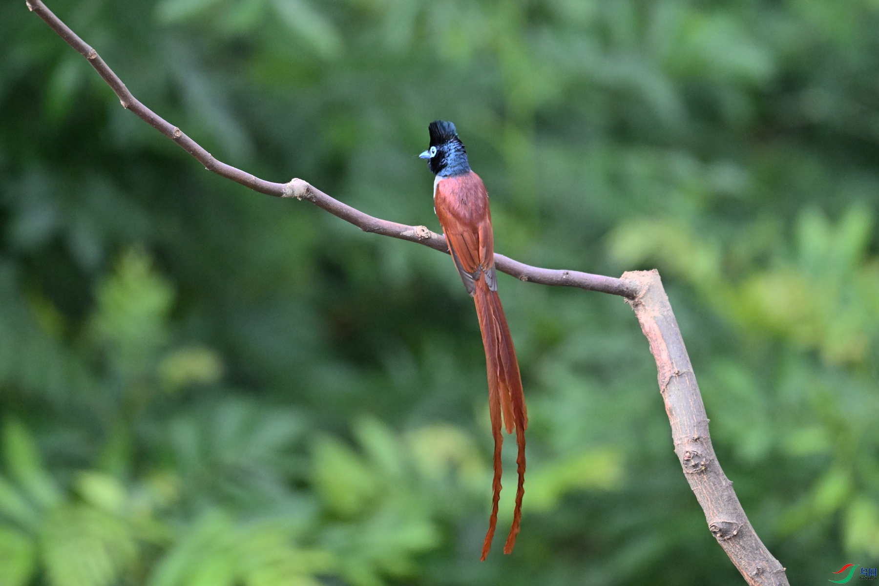 DSC_5635.JPG