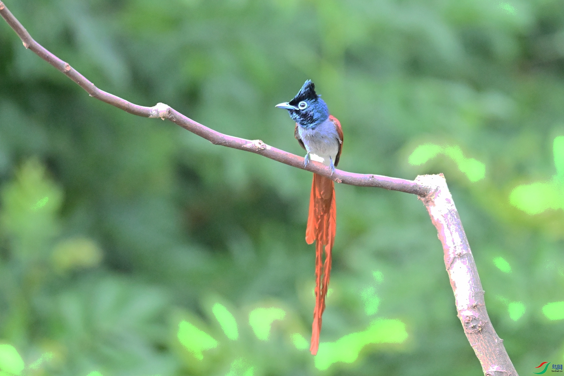 DSC_5652.JPG