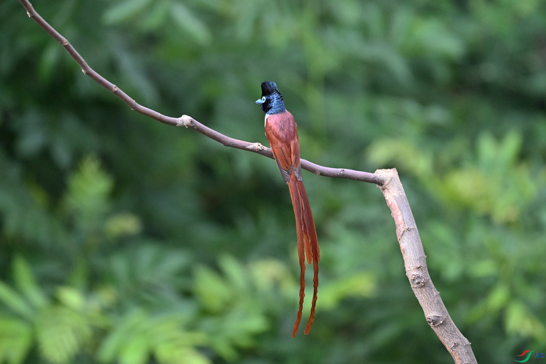 DSC_5637.JPG