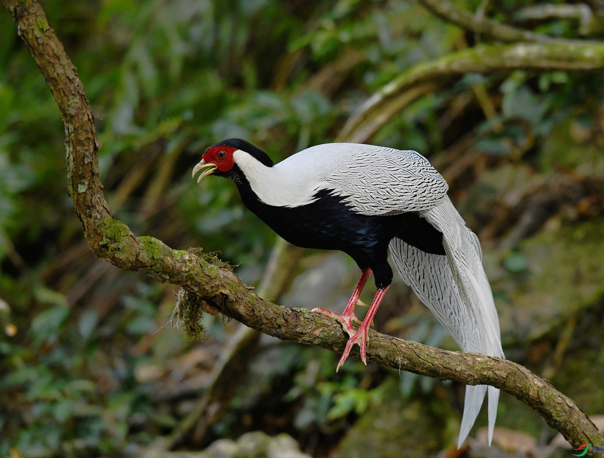 DSC_3690.jpg