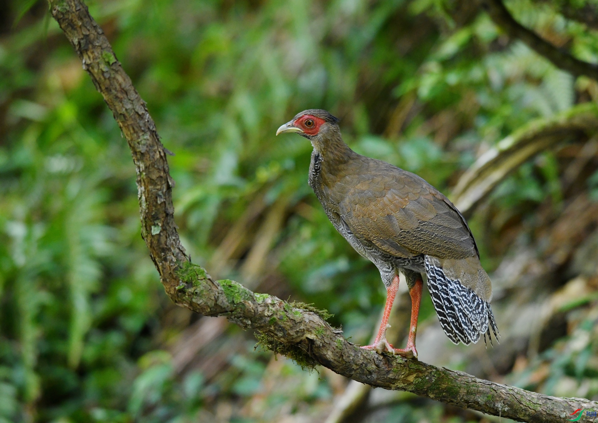 DSC_4588.jpg