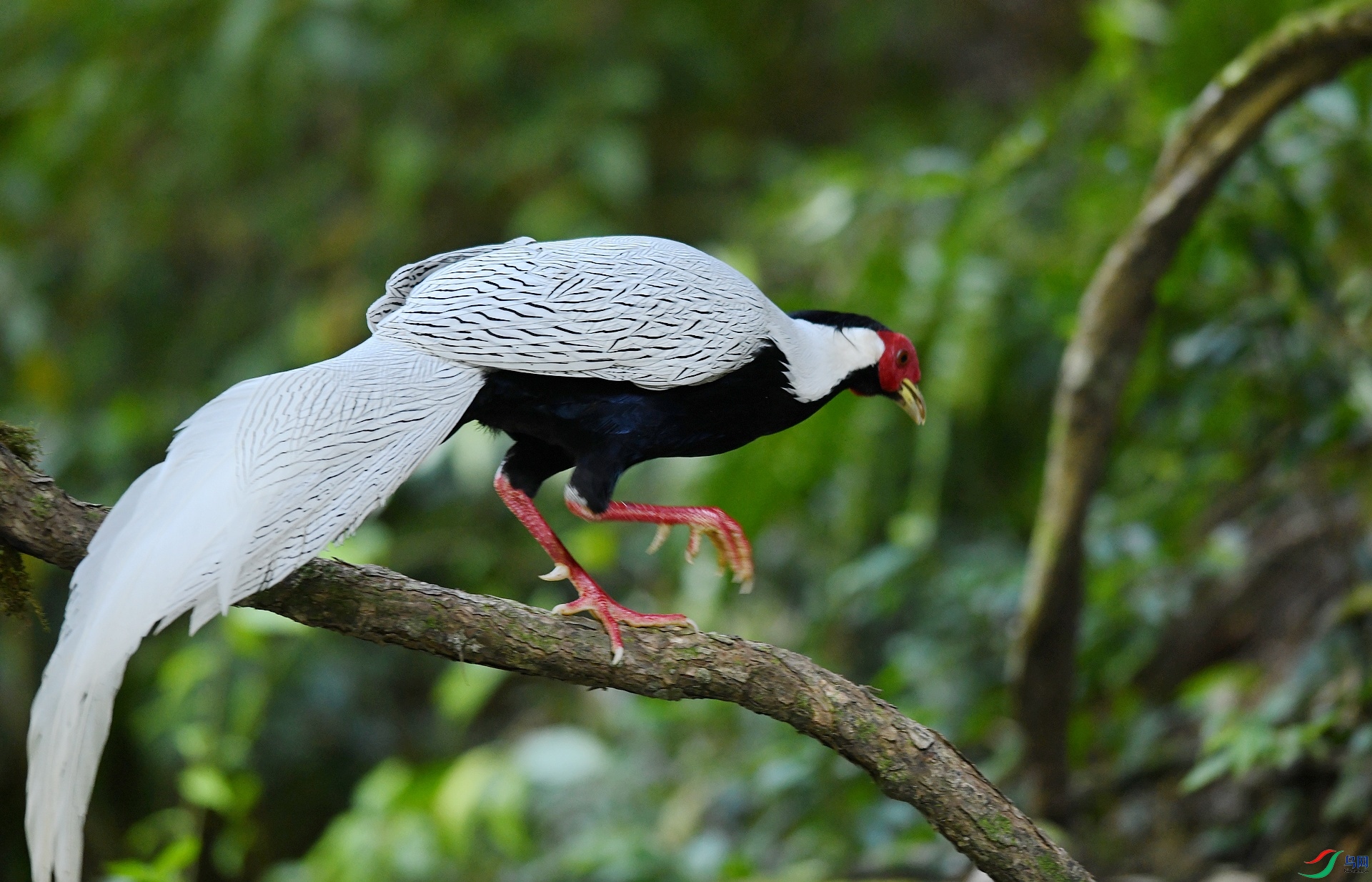 DSC_4911.jpg