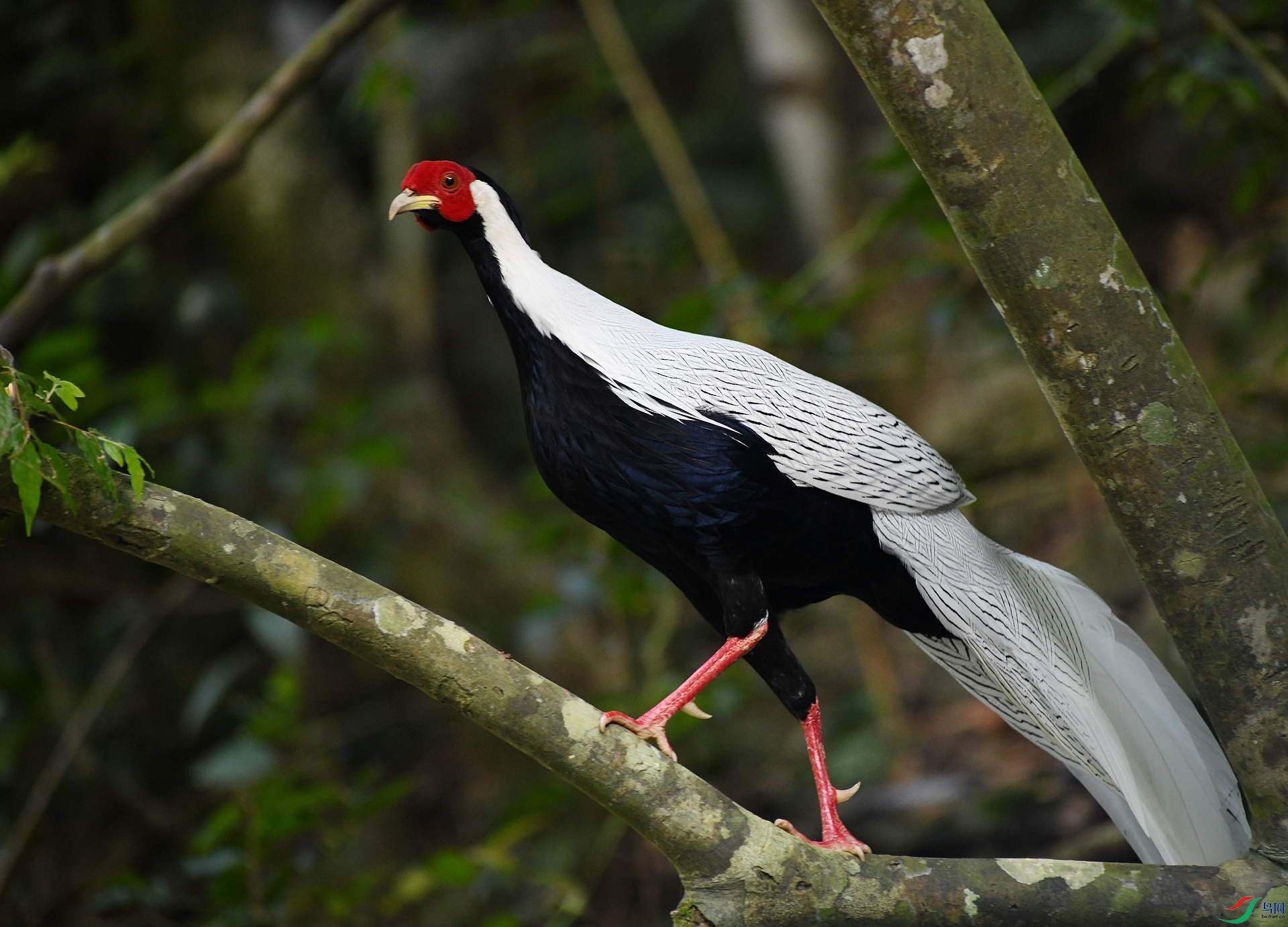 DSC_5827.jpg