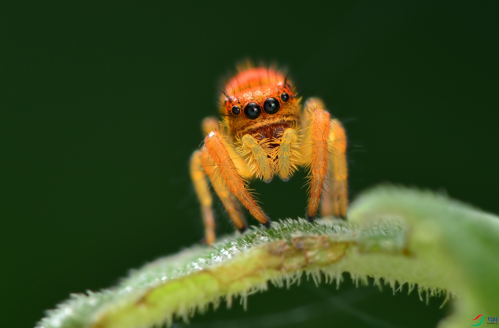 DSC_5119 ����..JPG