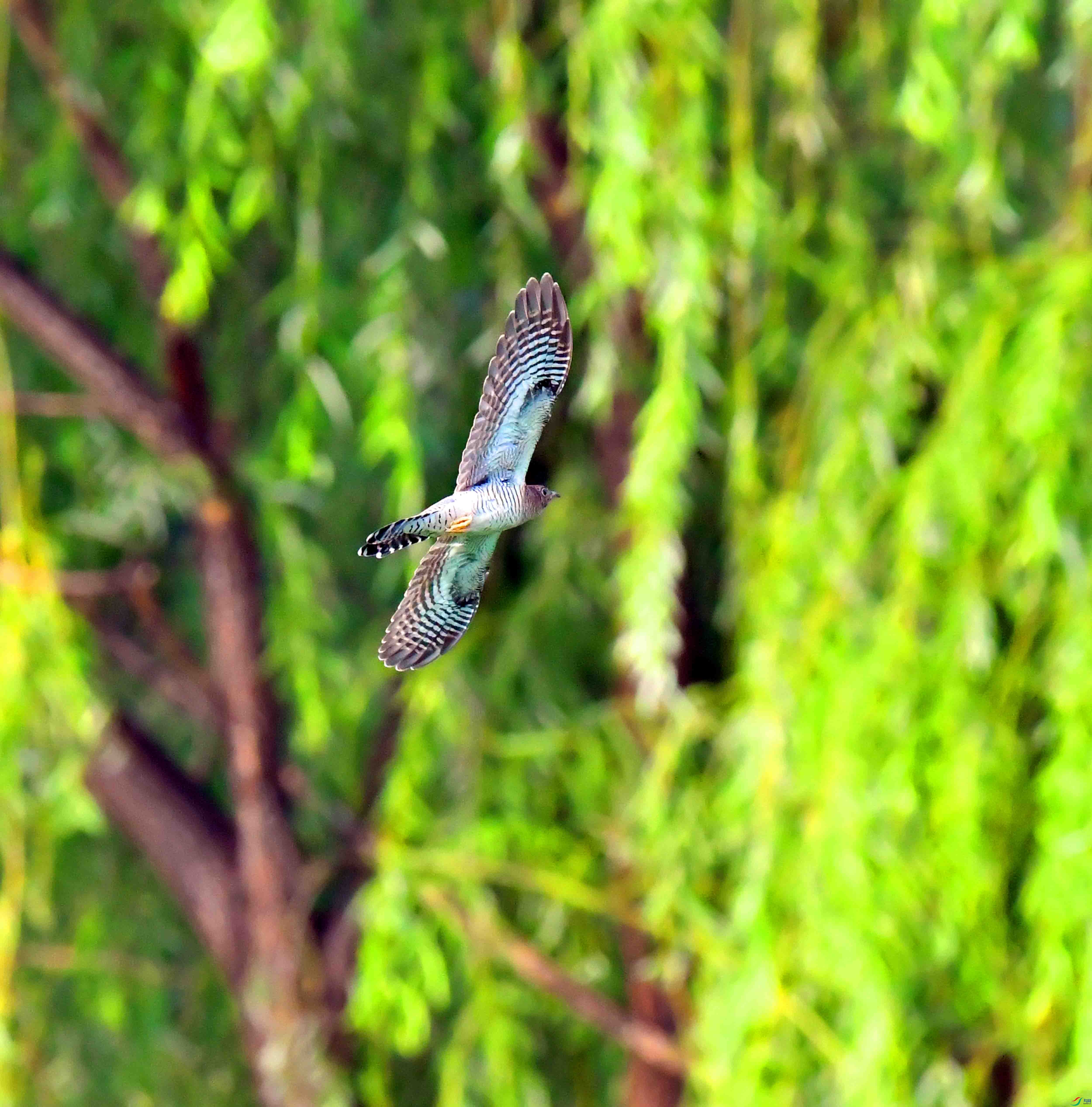 DSC_3781.JPG