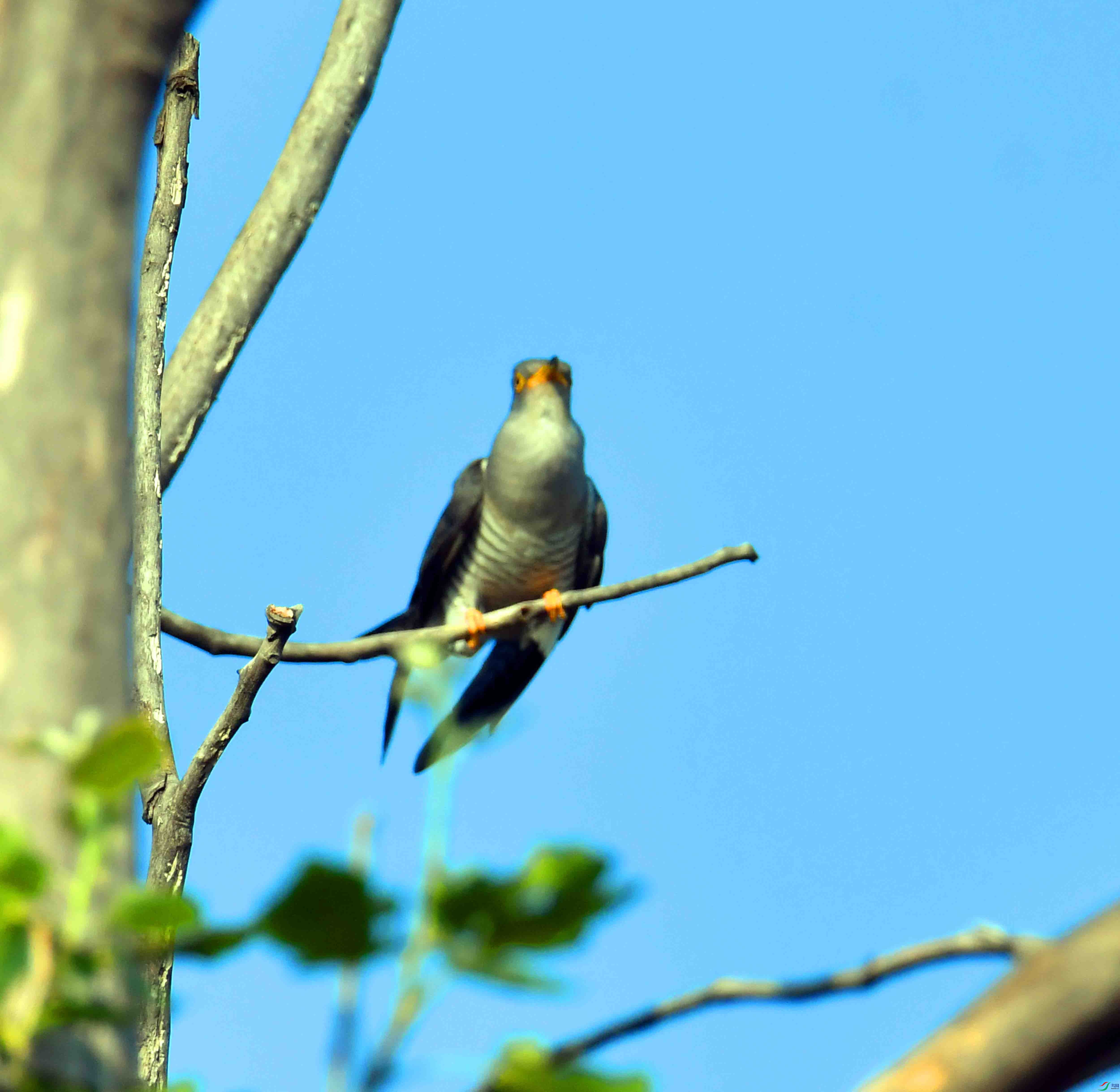 DSC_4836.JPG