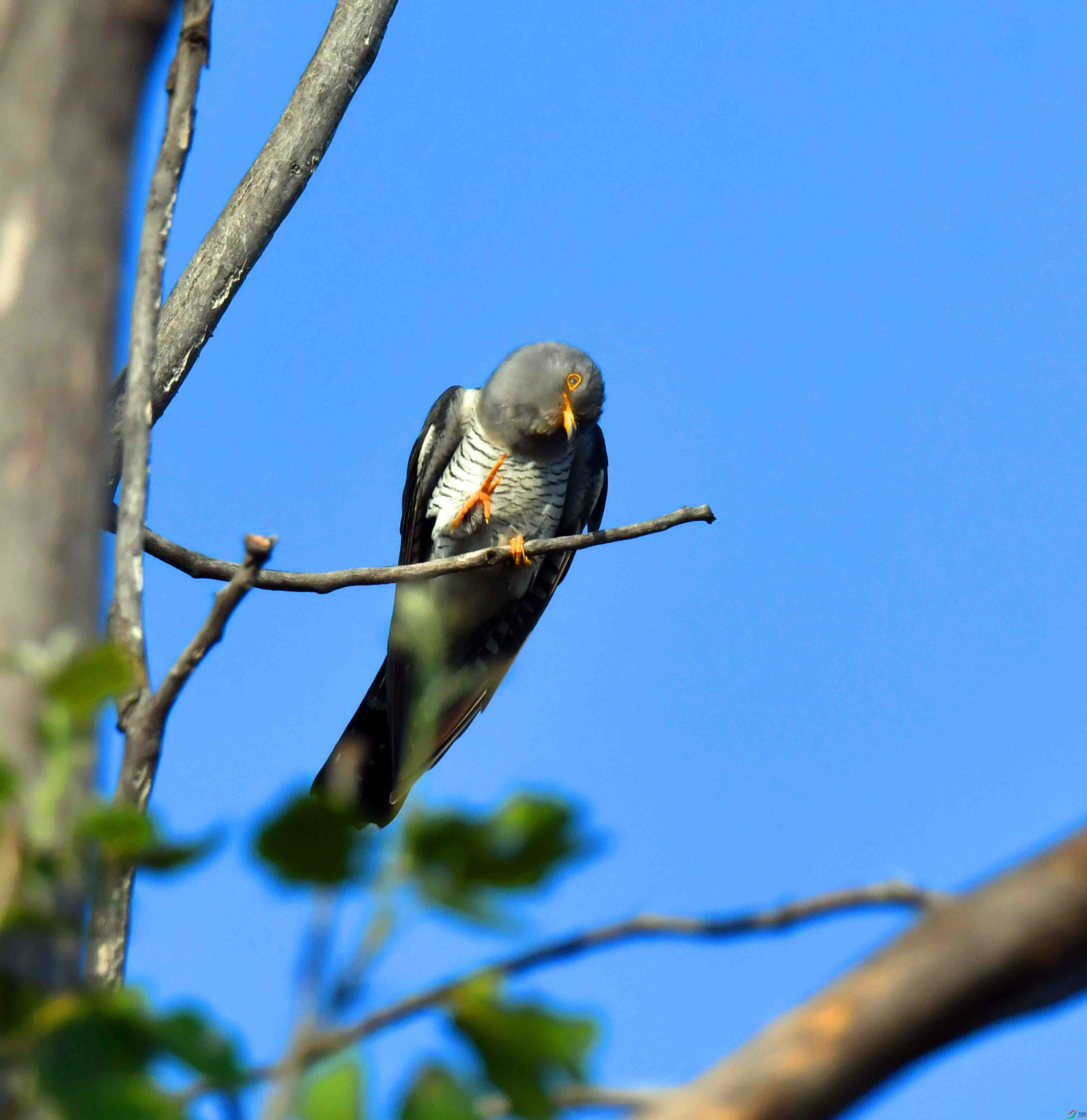 DSC_4861.JPG