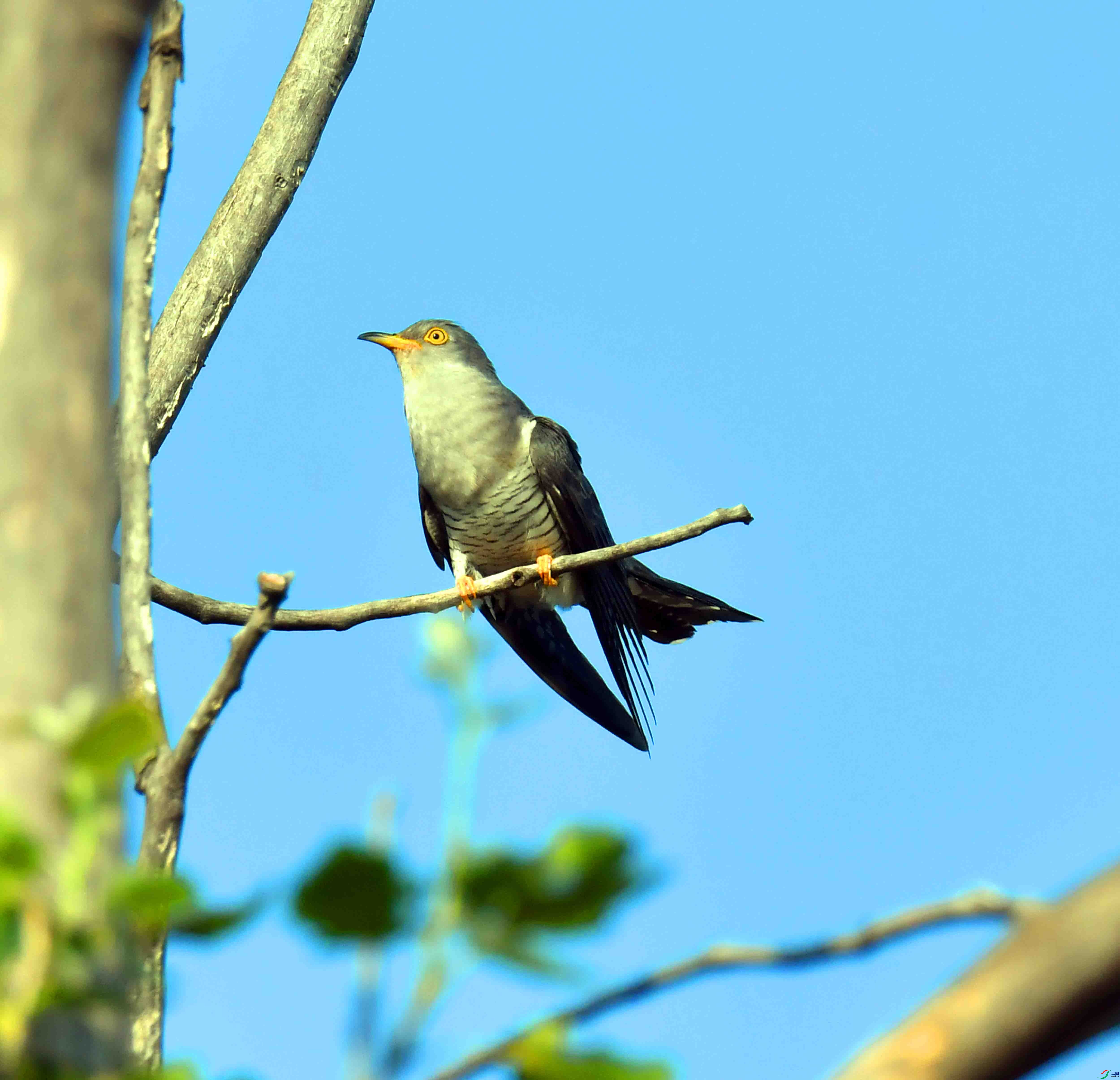 DSC_4845.JPG