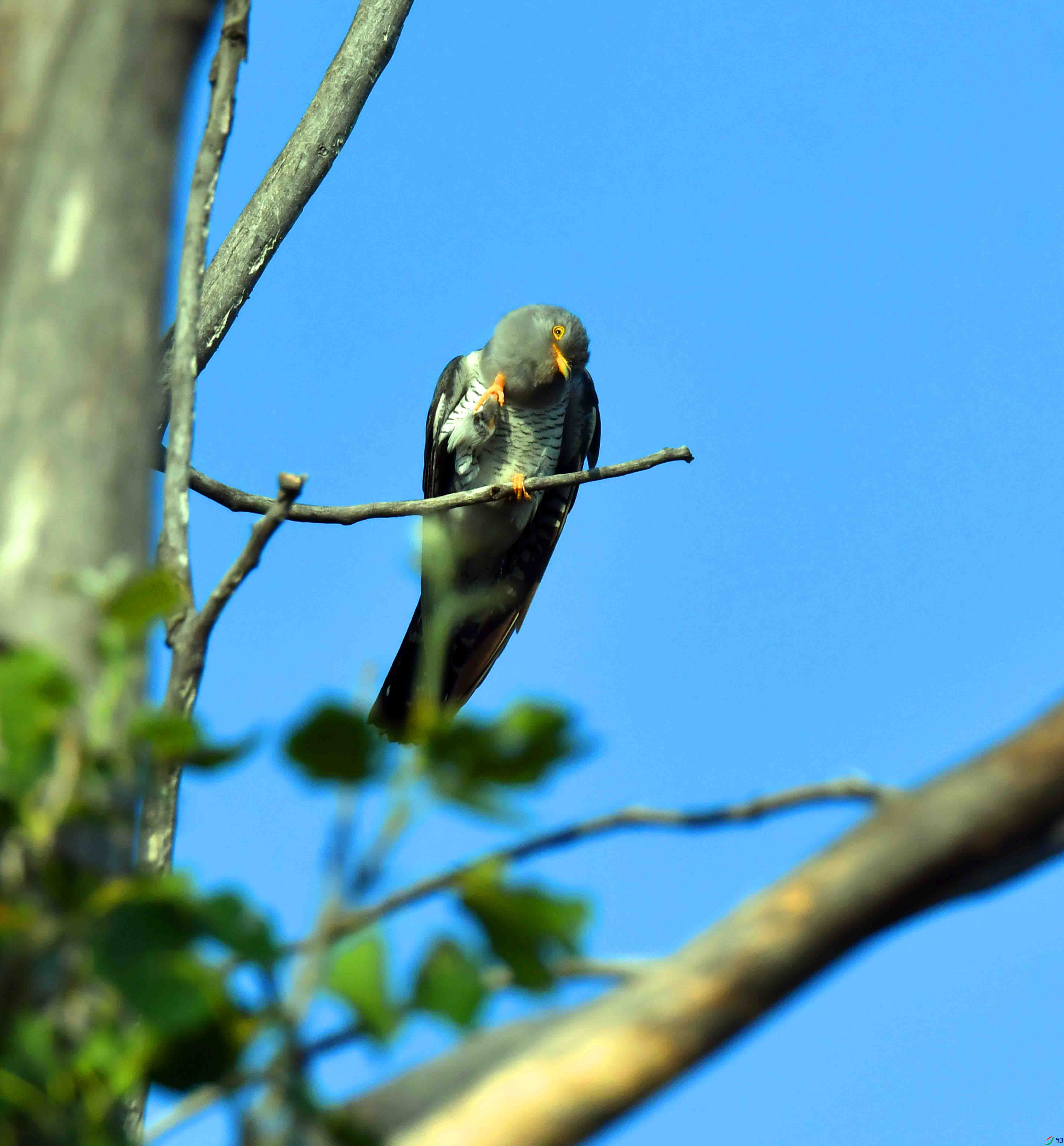 DSC_4862.JPG