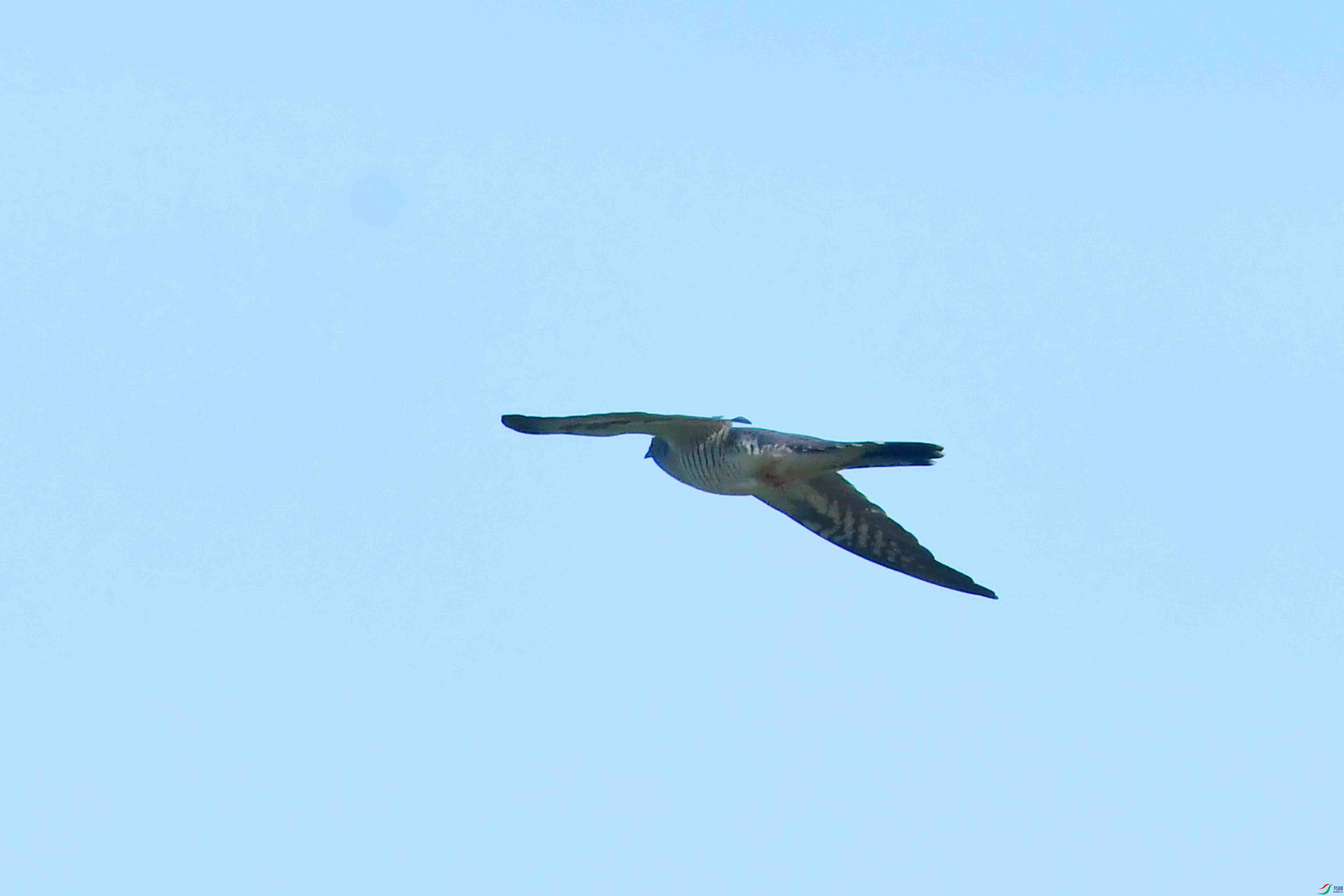 DSC_6278.JPG