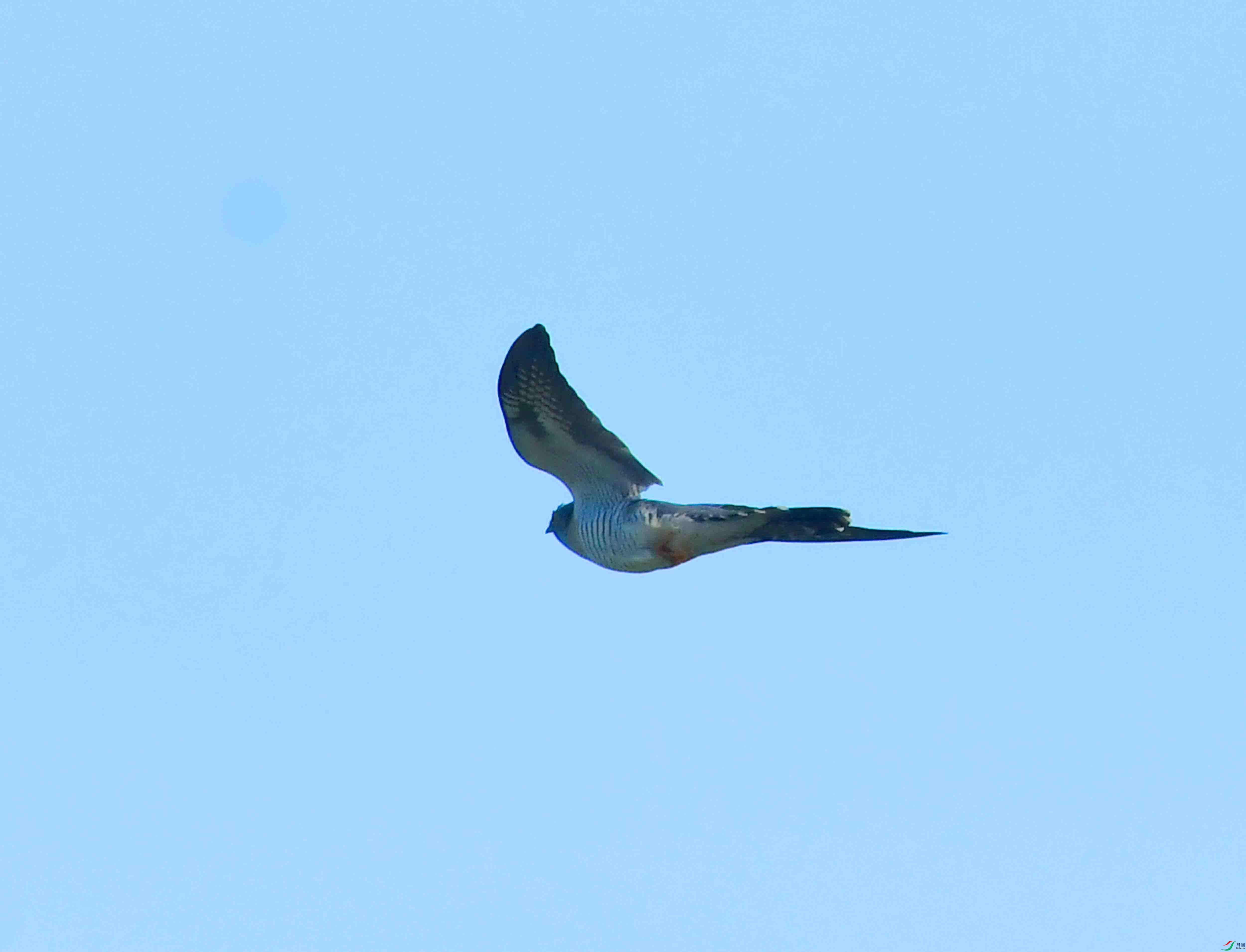 DSC_6279.JPG