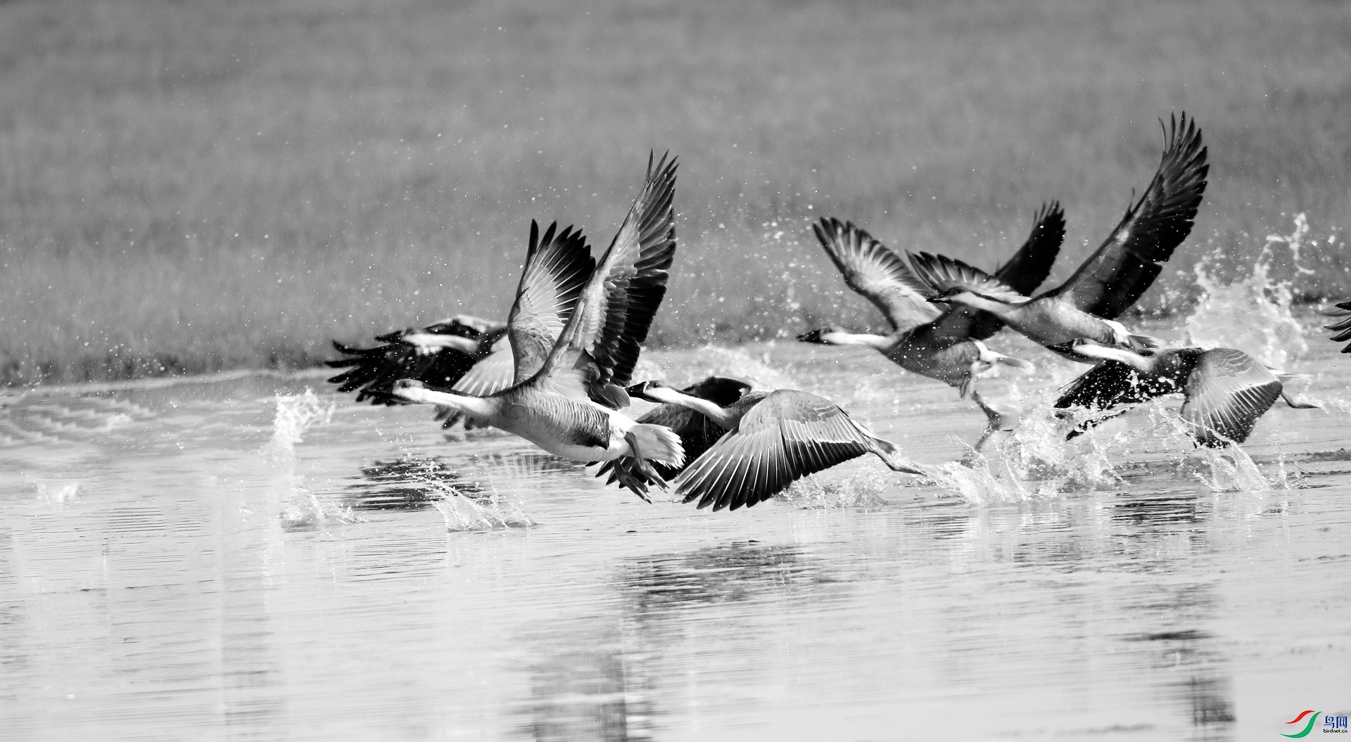 0G1A4574 ����.jpg