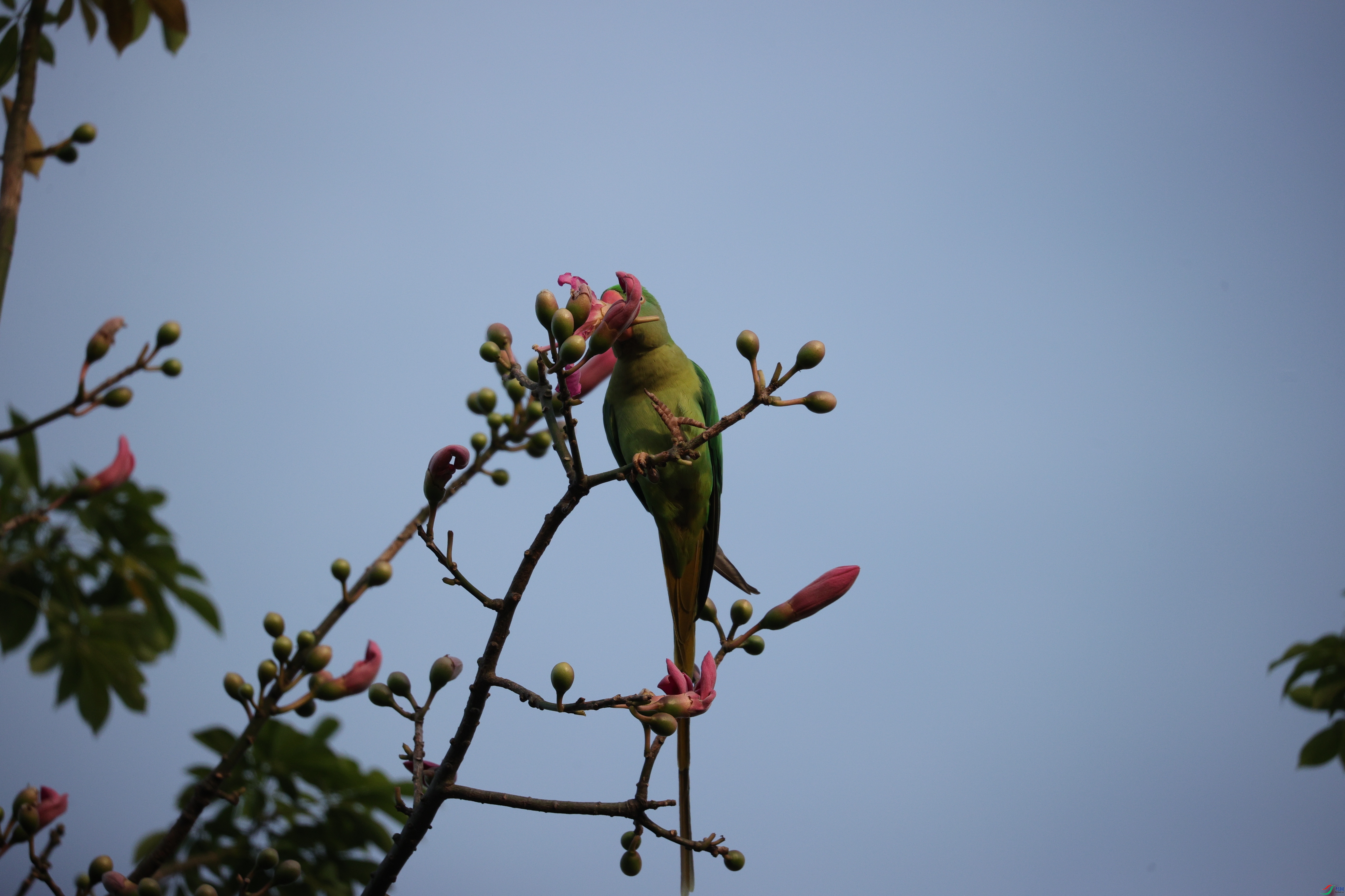 5110��ש����