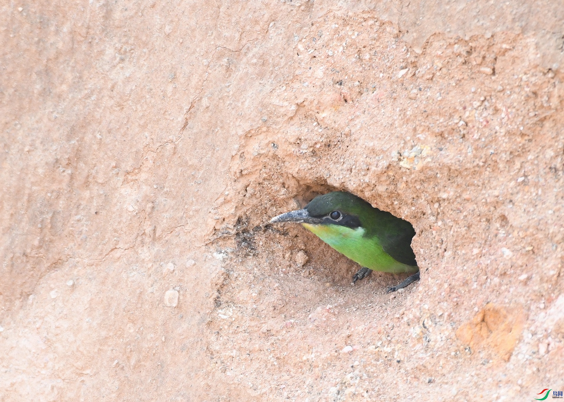 DSC_8545.jpg