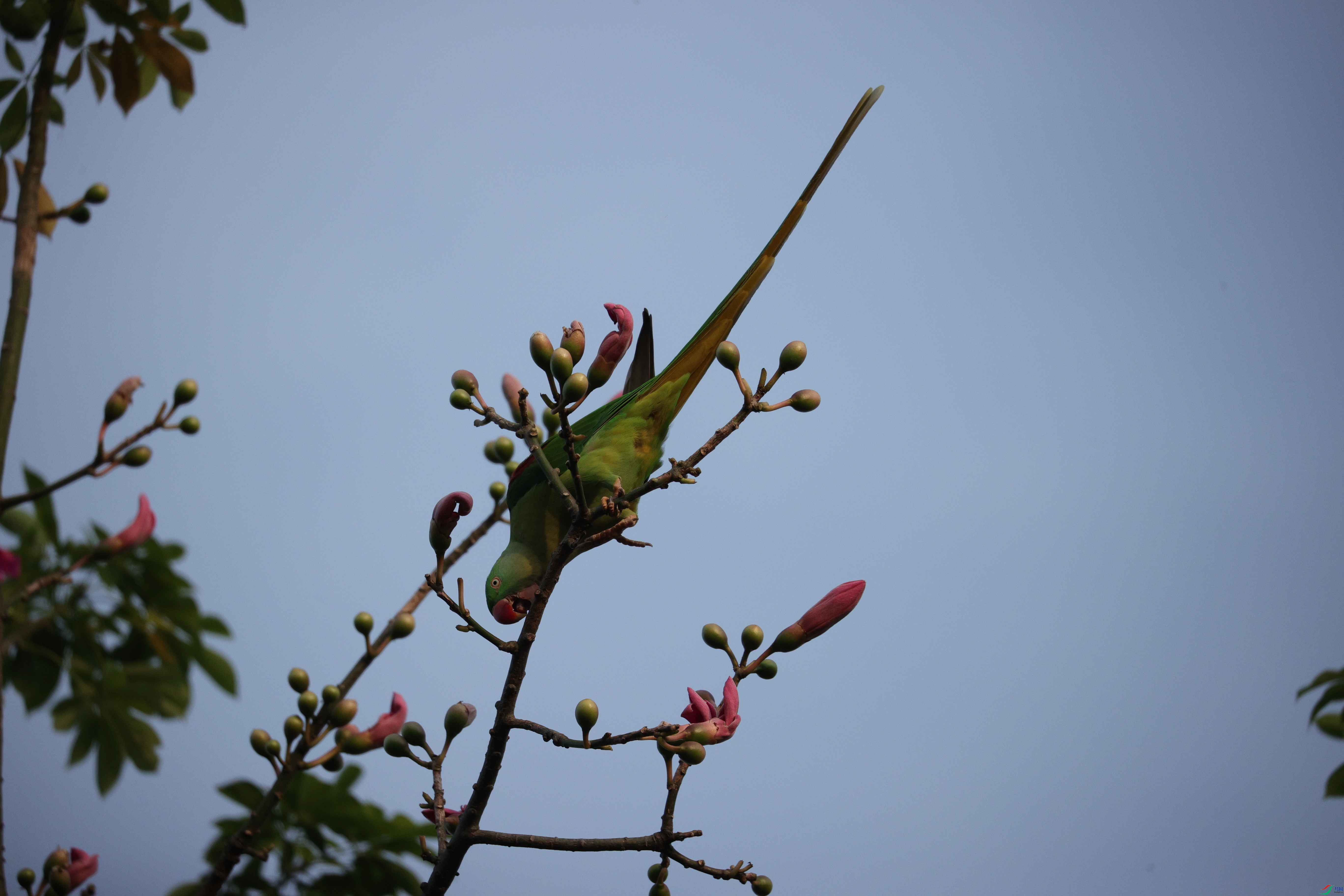 5121��ש����