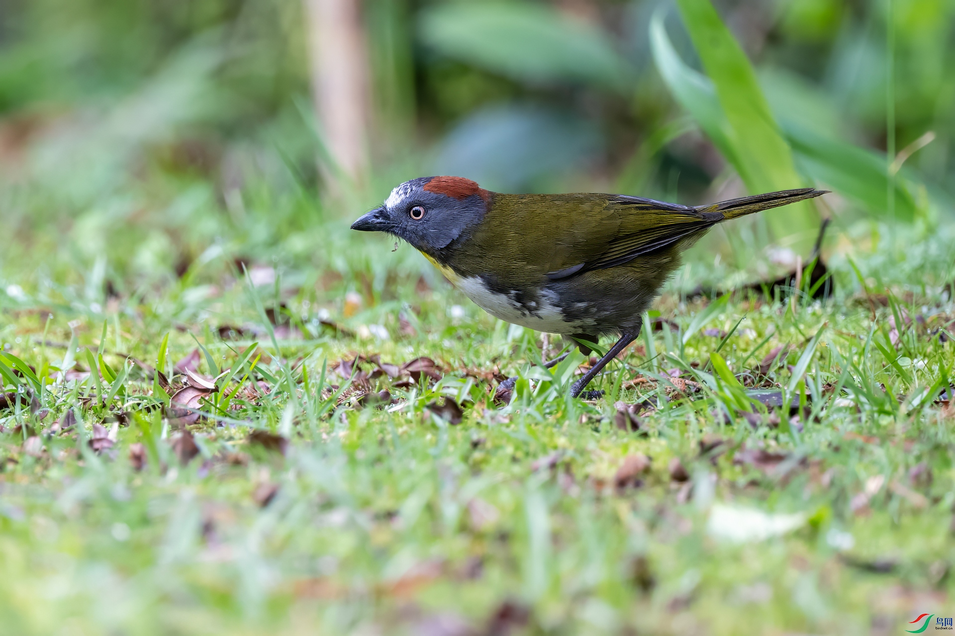 DSC_0007.jpg
