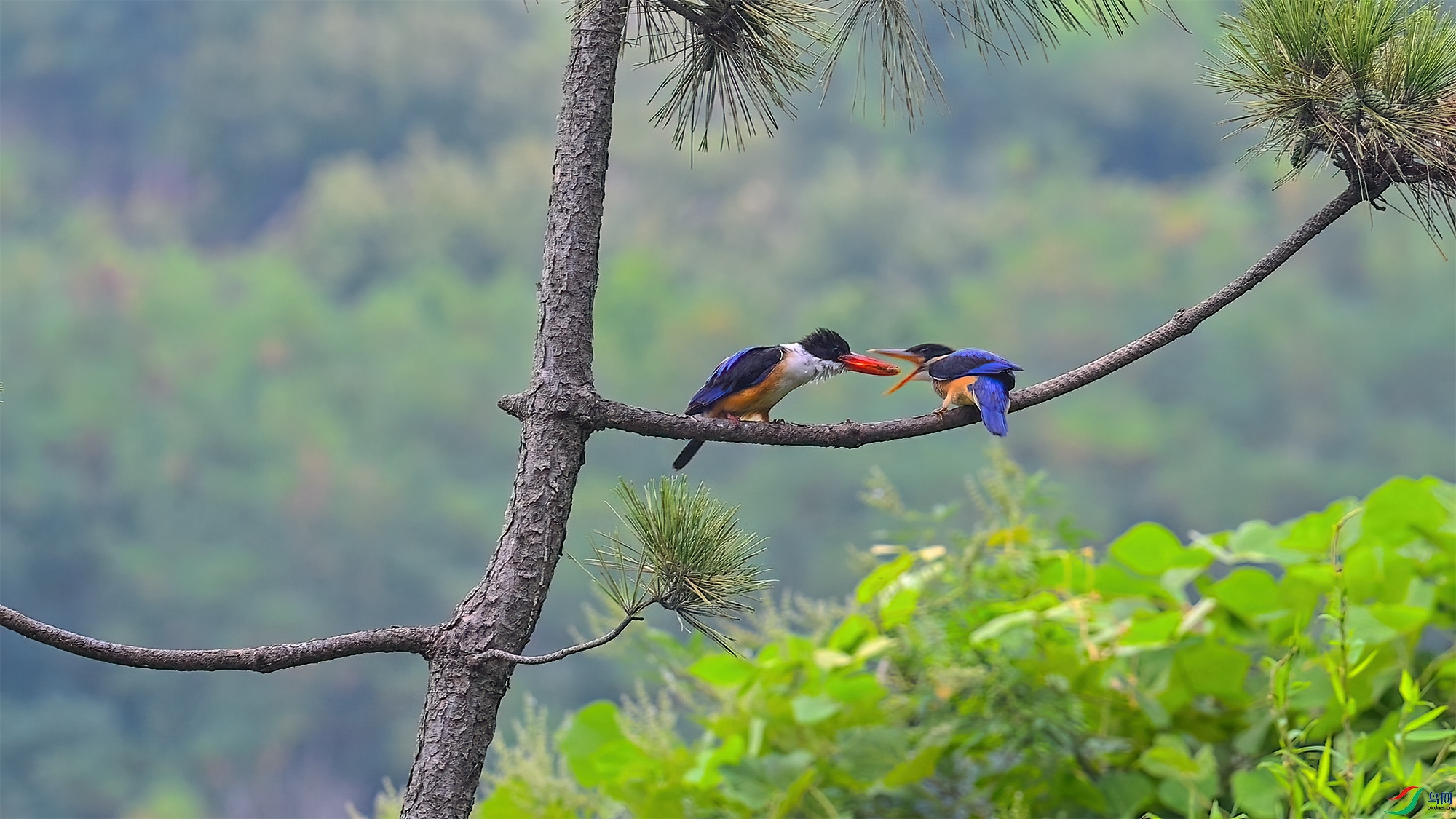 9��1�� (1)(1).jpg