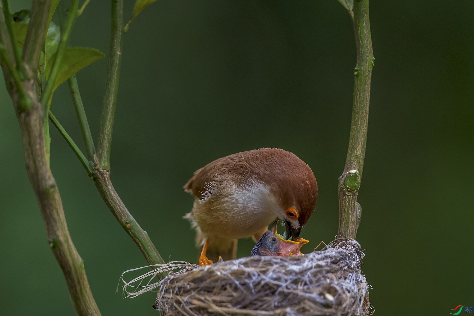 DSC_8343.jpg
