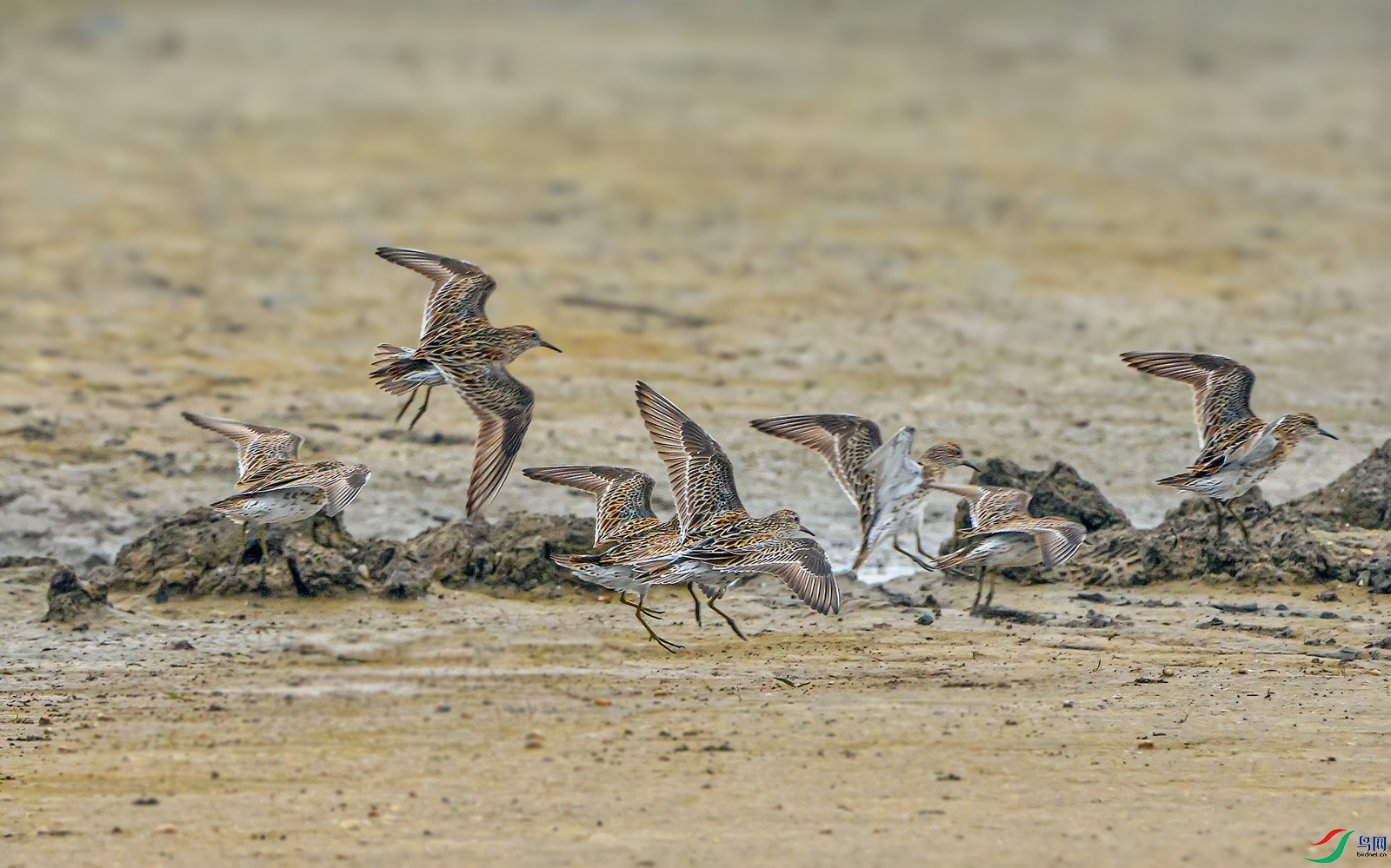 DSC_3516.jpg