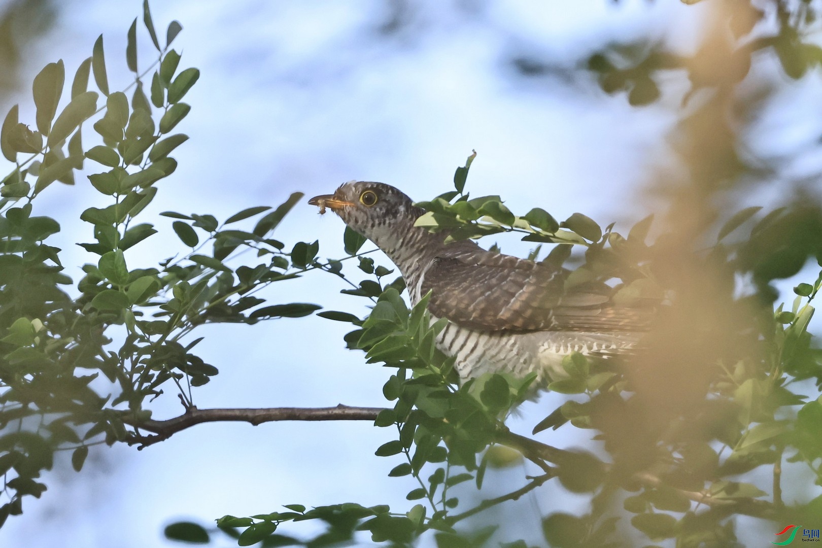 �жž�  �Լ���� _98A5044.jpg