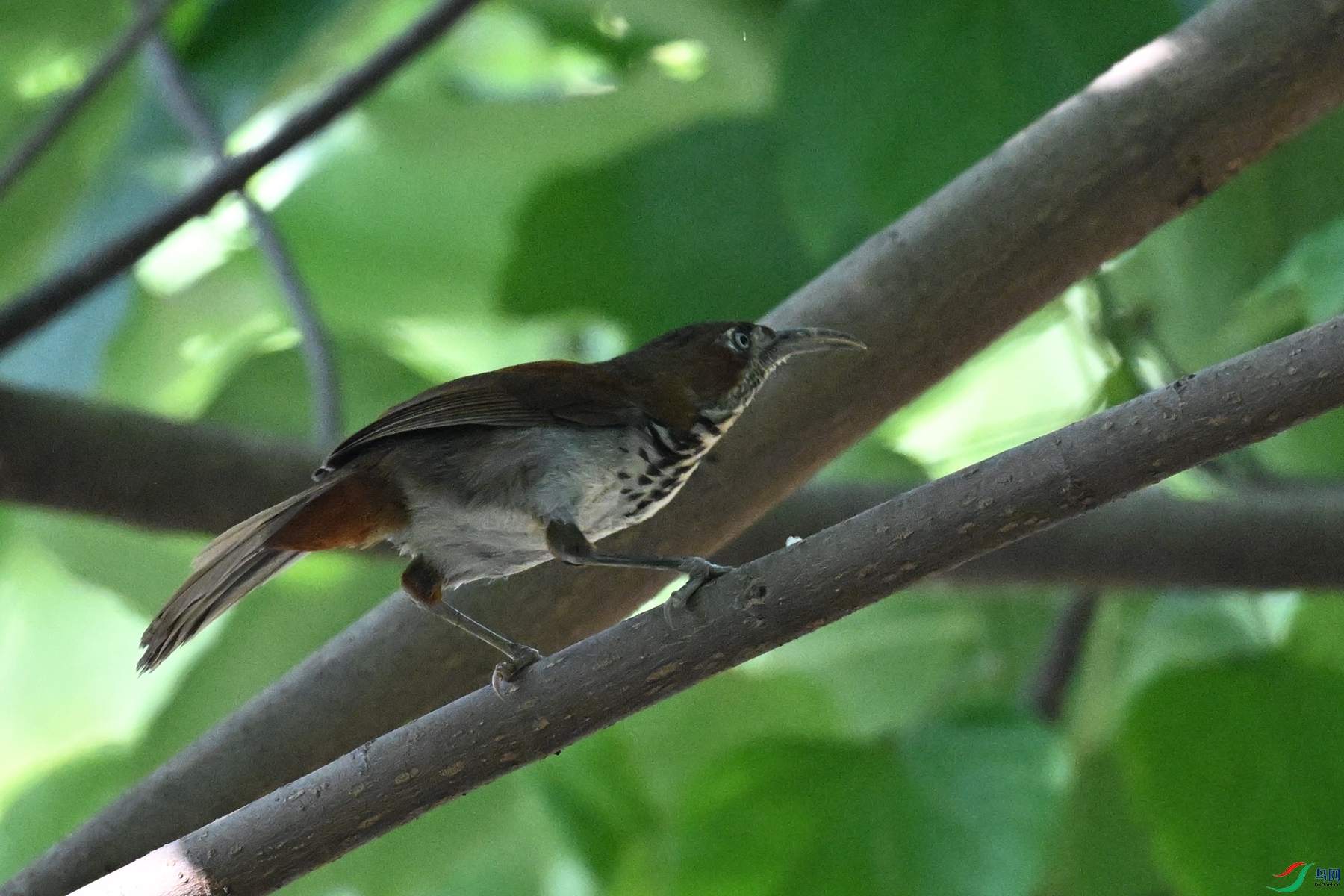 DSC_8747.JPG