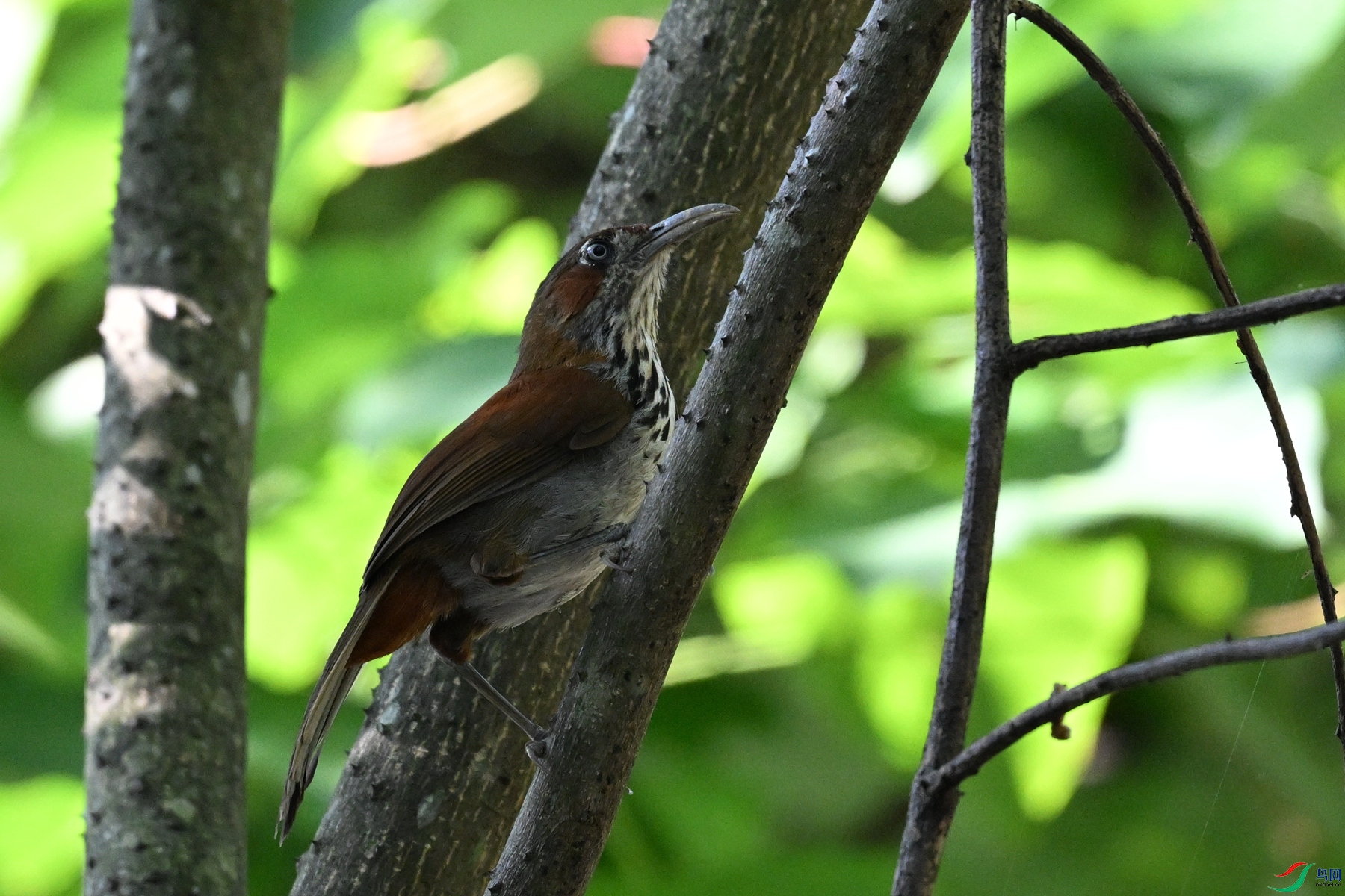 DSC_8739.JPG