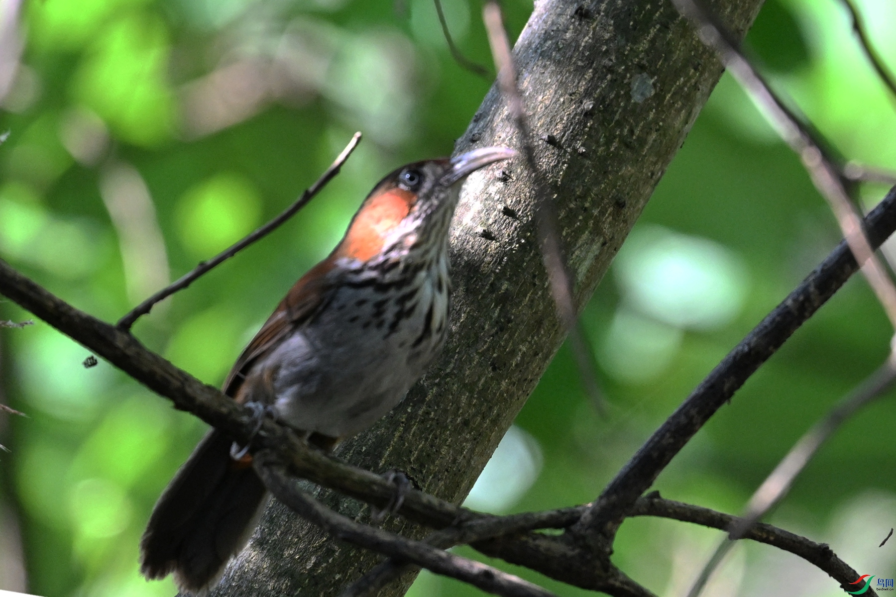 DSC_8752.JPG