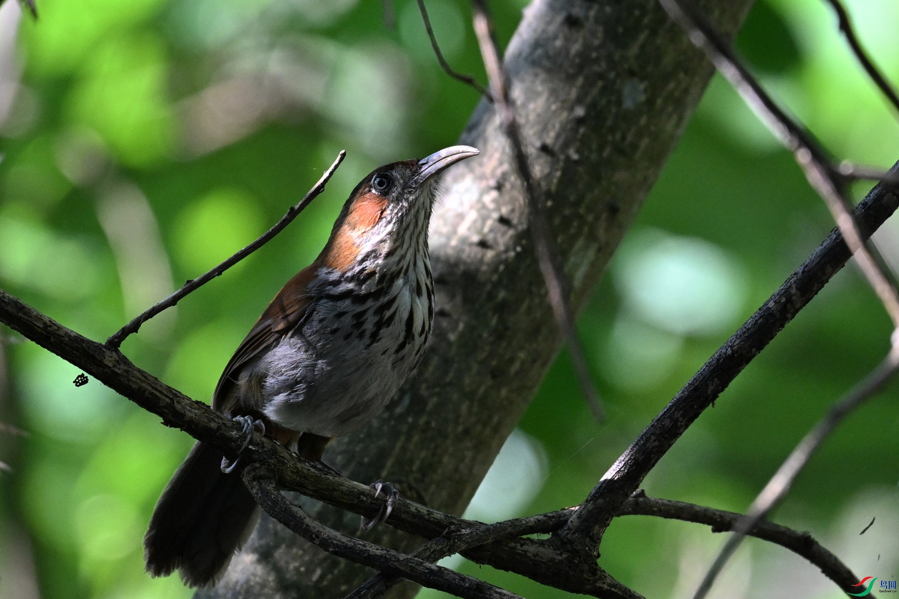 DSC_8756.JPG