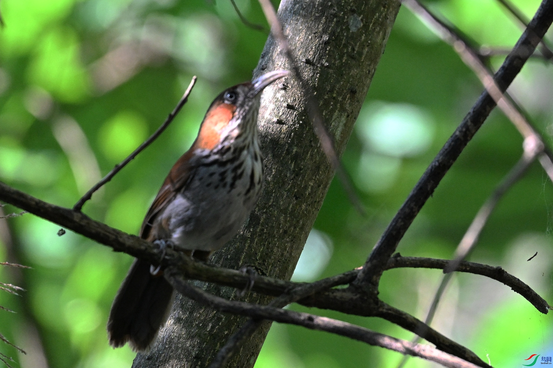 DSC_8753.JPG