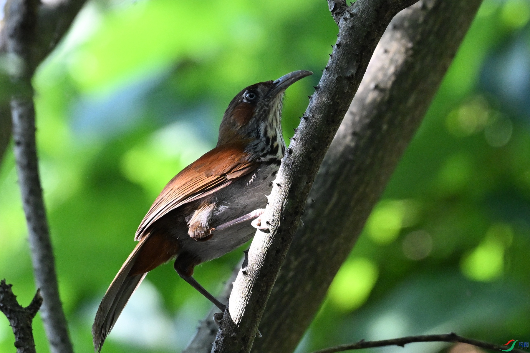 DSC_8772.JPG