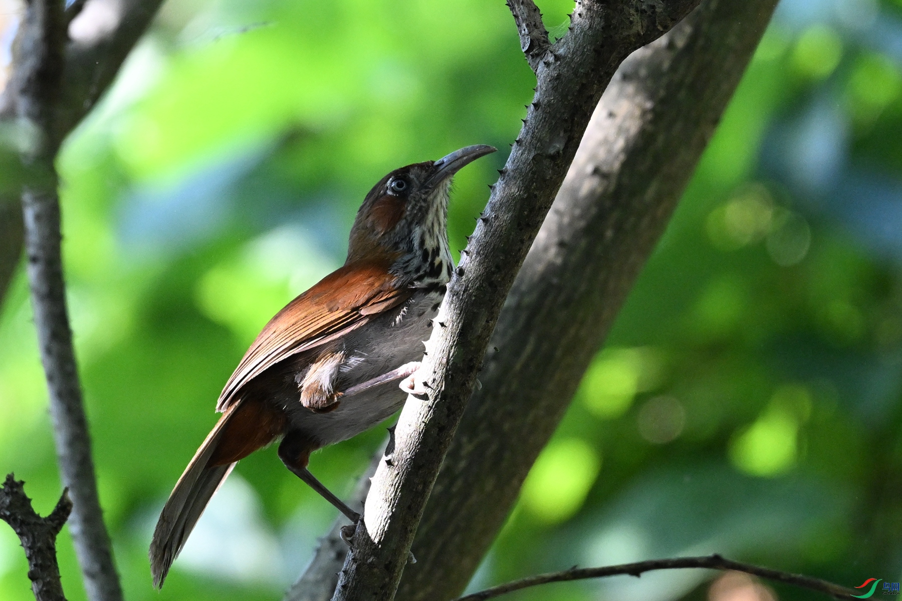 DSC_8770.JPG