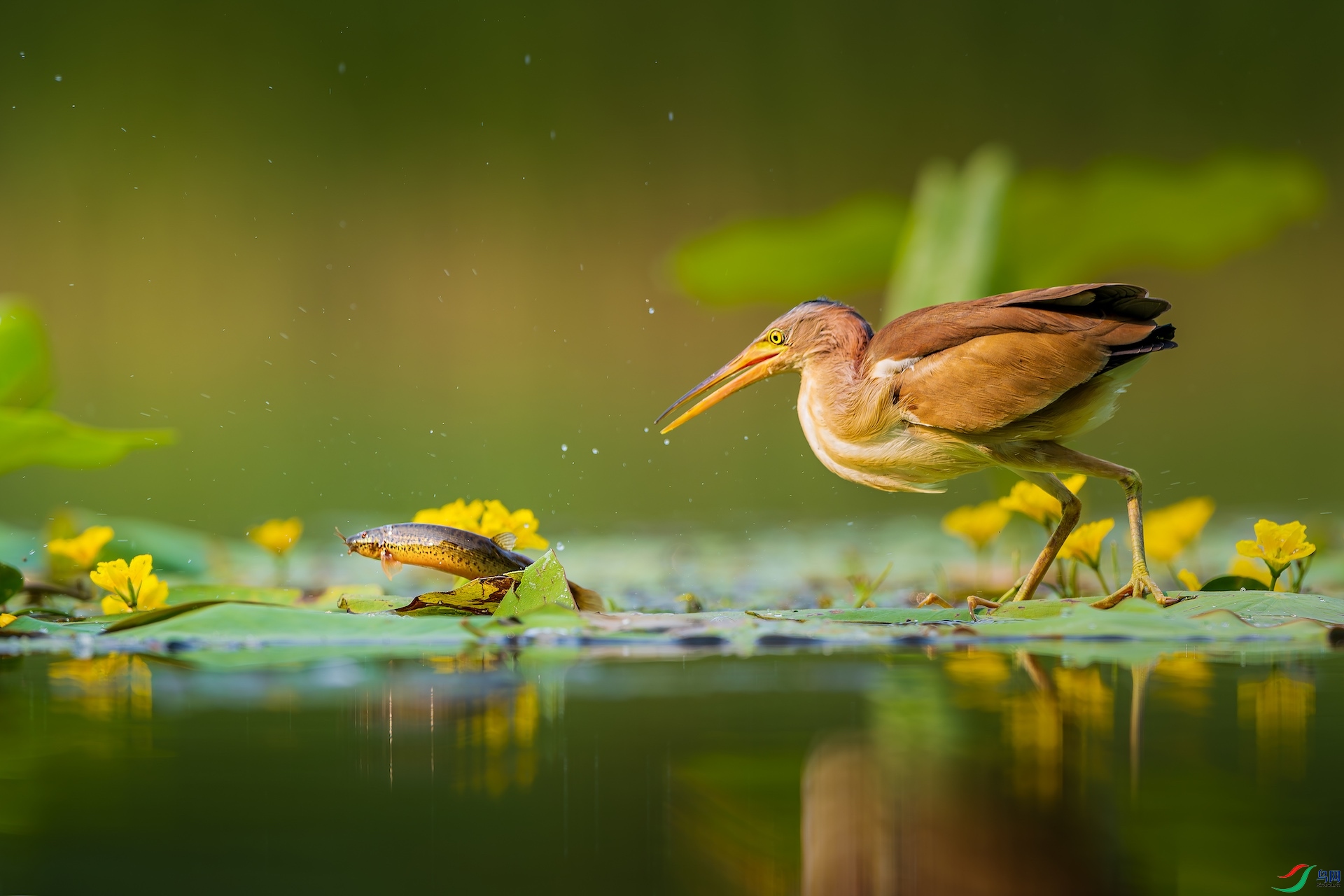 1_DSC1996-����ǿ-NR ����-1-1 2.jpeg